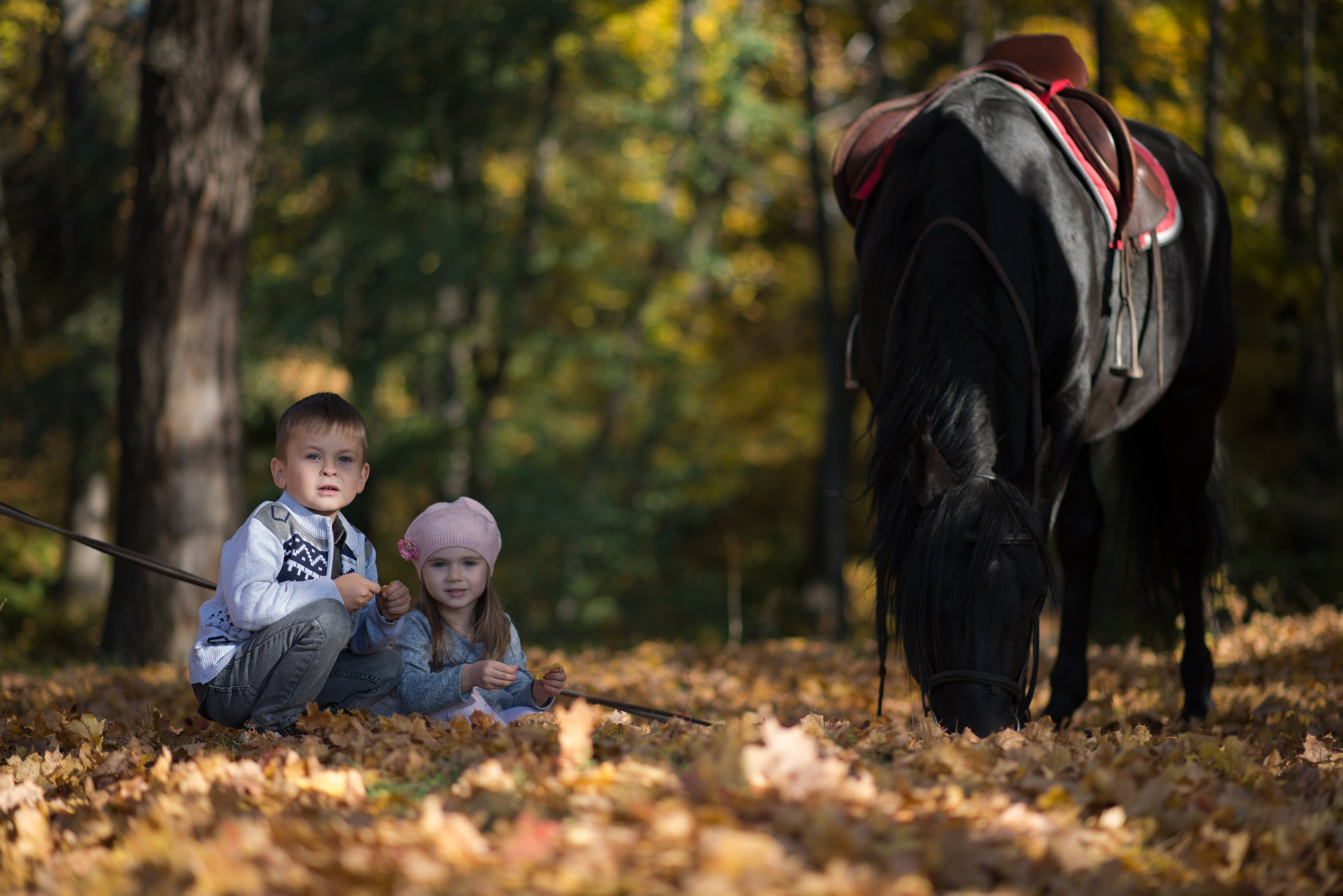 Дети и лошади. Конный фотограф в Саратове Юлия Иванова