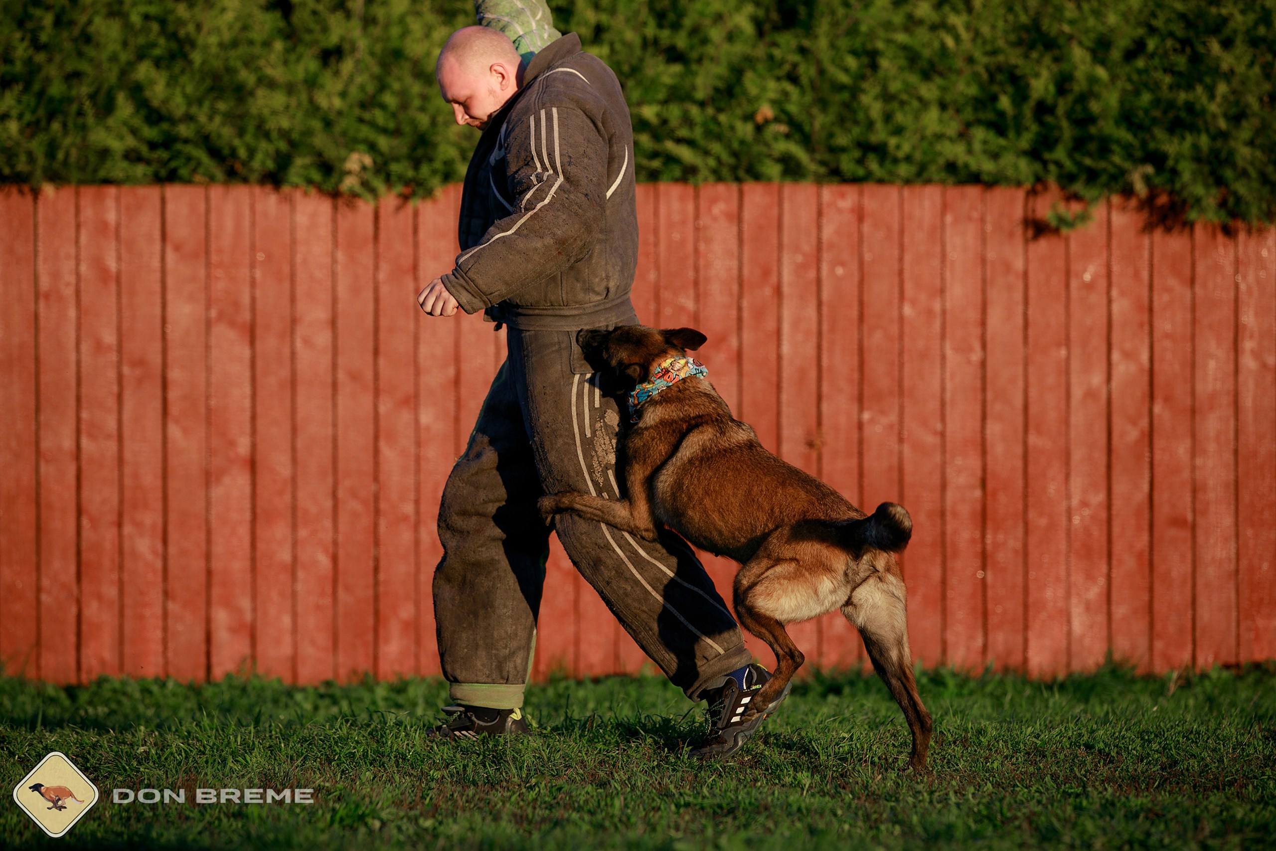 Семинар для фигурантов, день 3. Фотограф-анималист Mary Mart — Москва, Питер