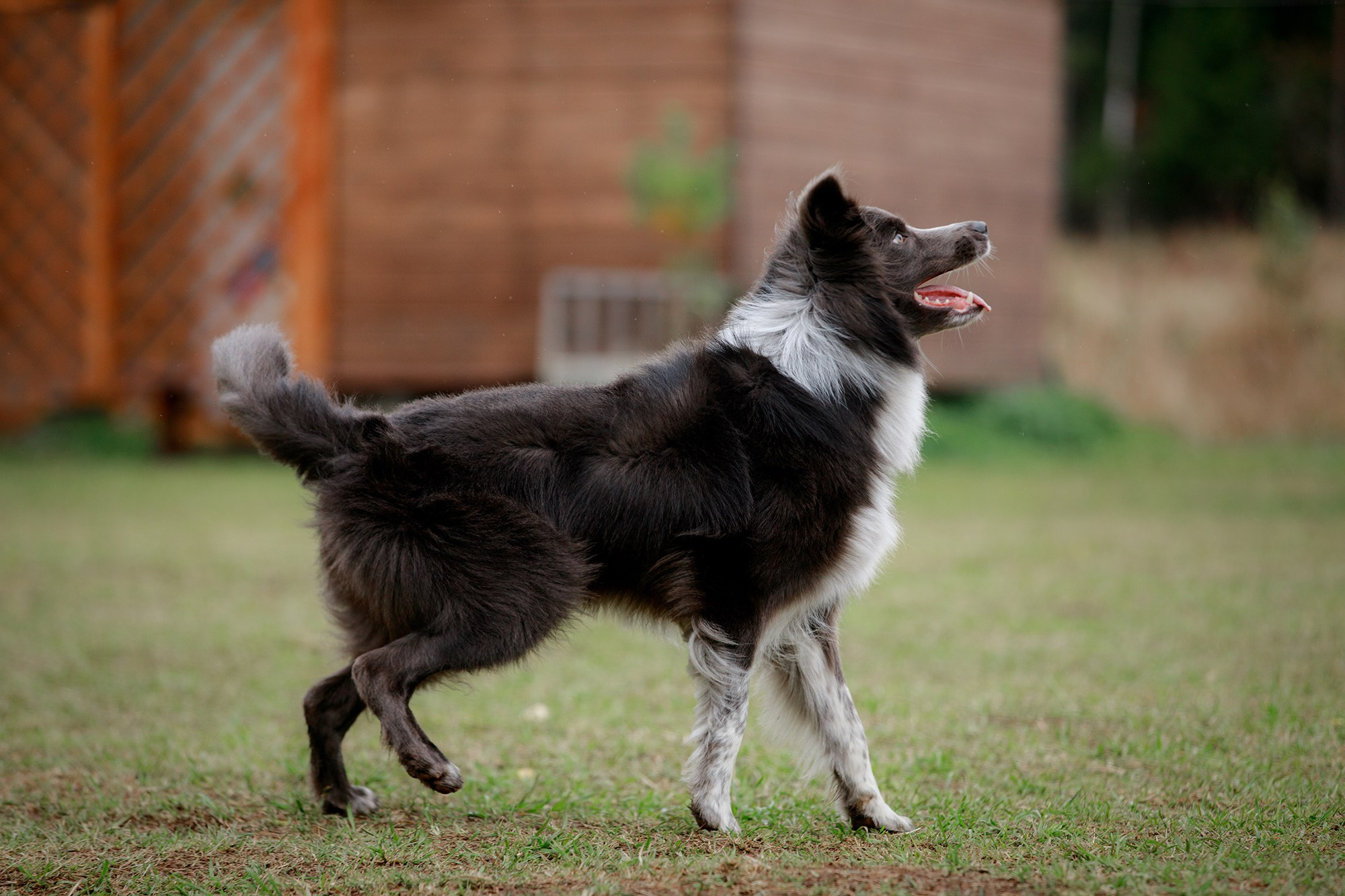 Лагерь по ОБД с Инной Баженовой. Фотограф-анималист Mary Mart — Москва, Питер