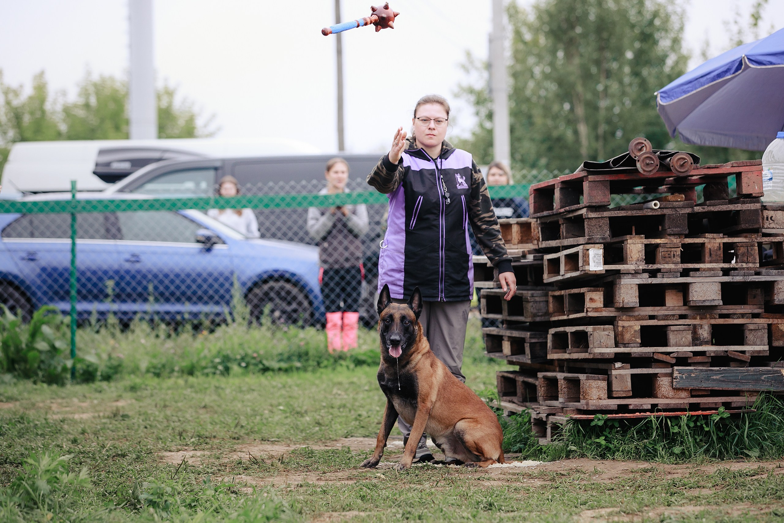 Мондьоринг М1, М2, М3, Вологда. Фотограф-анималист Mary Mart — Москва, Питер