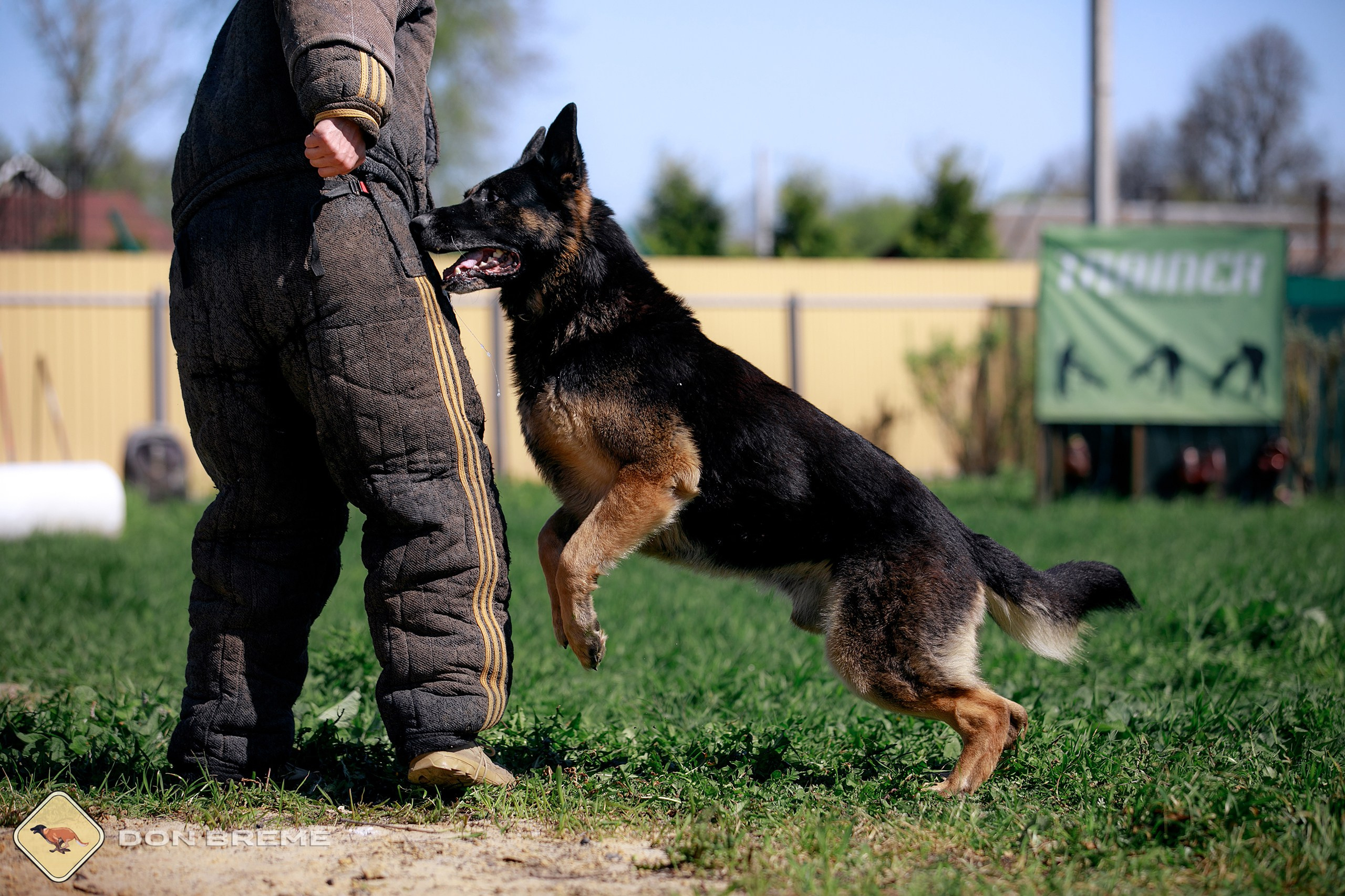 Семинар для фигурантов, день 3. Фотограф-анималист Mary Mart — Москва, Питер