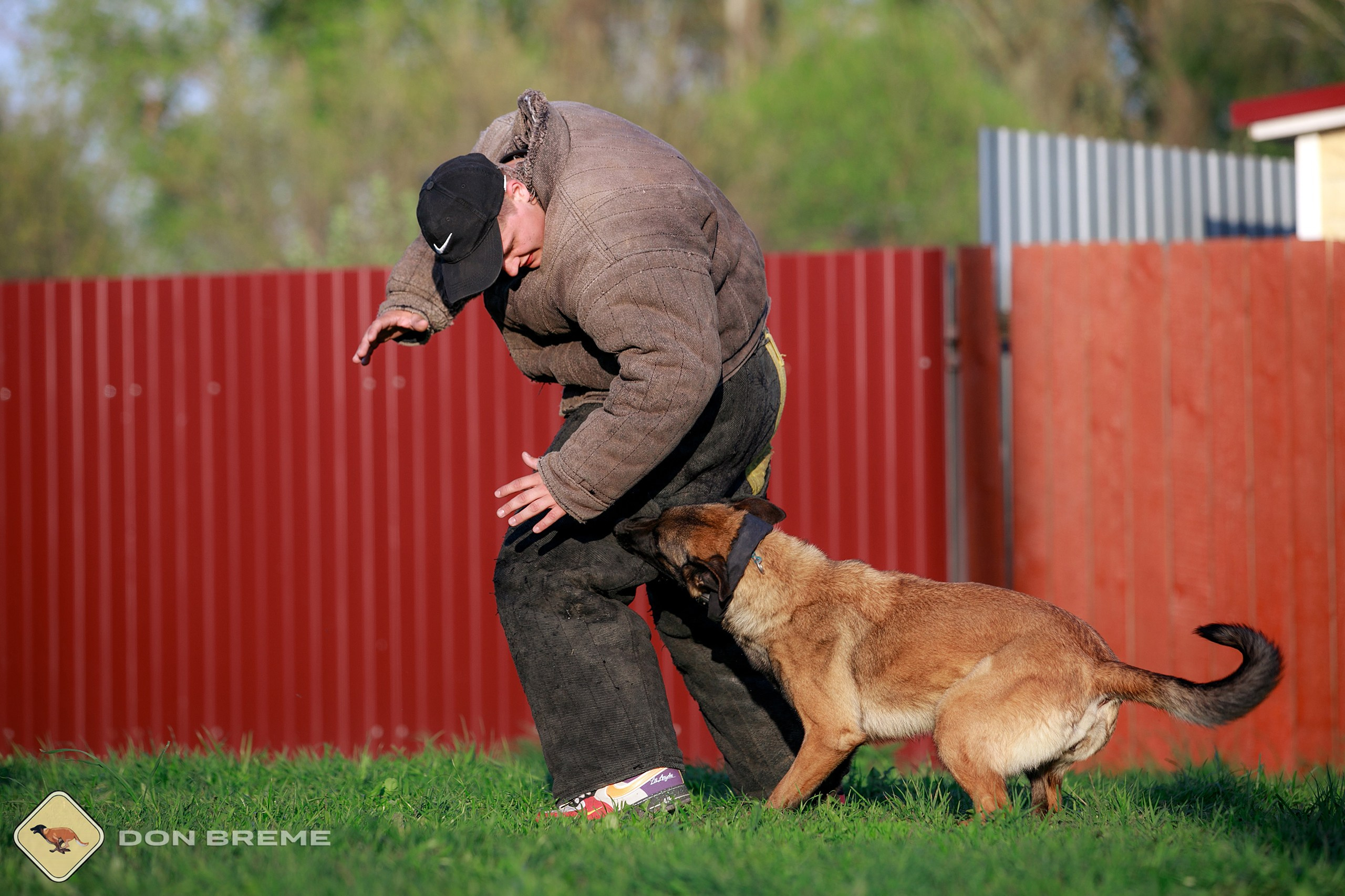 Семинар для фигурантов, день 4. Фотограф-анималист Mary Mart — Москва, Питер