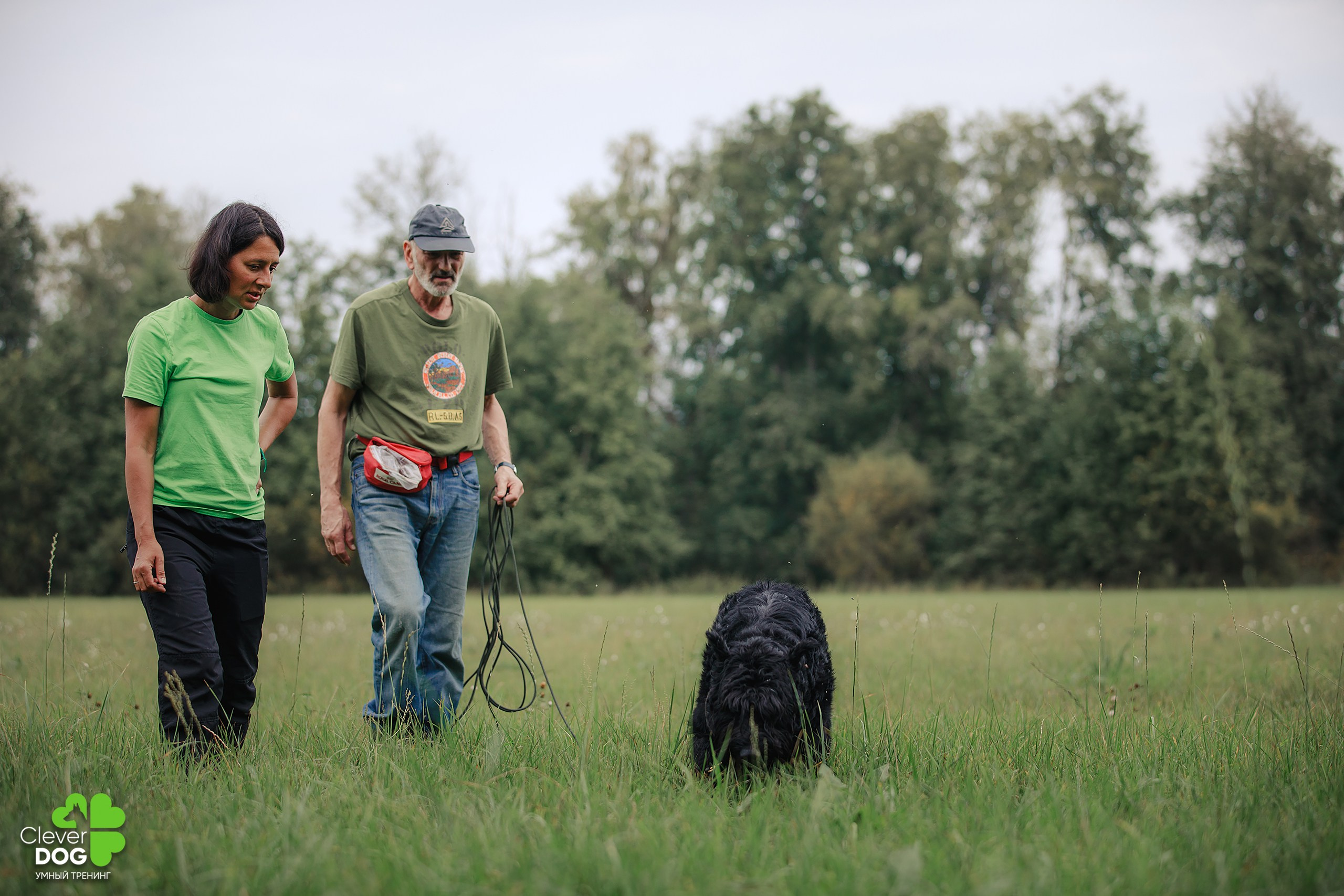 Кинологический лагерь CleverDog, 2024. Фотограф-анималист Mary Mart — Москва, Питер