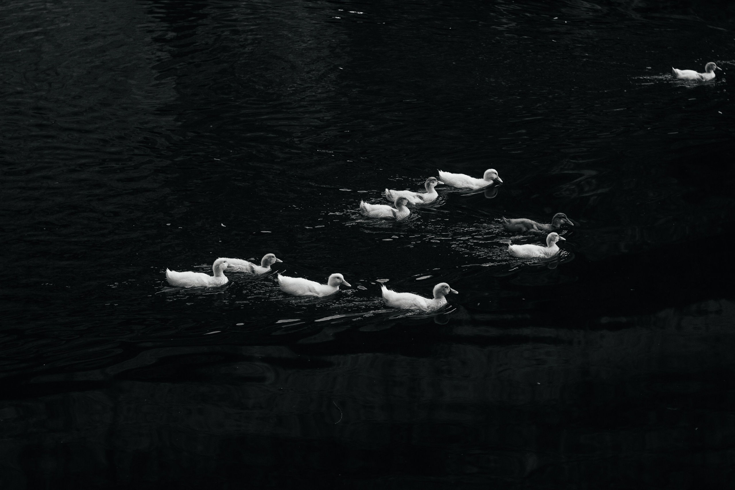 Helios. Photographer Mary Matveenko