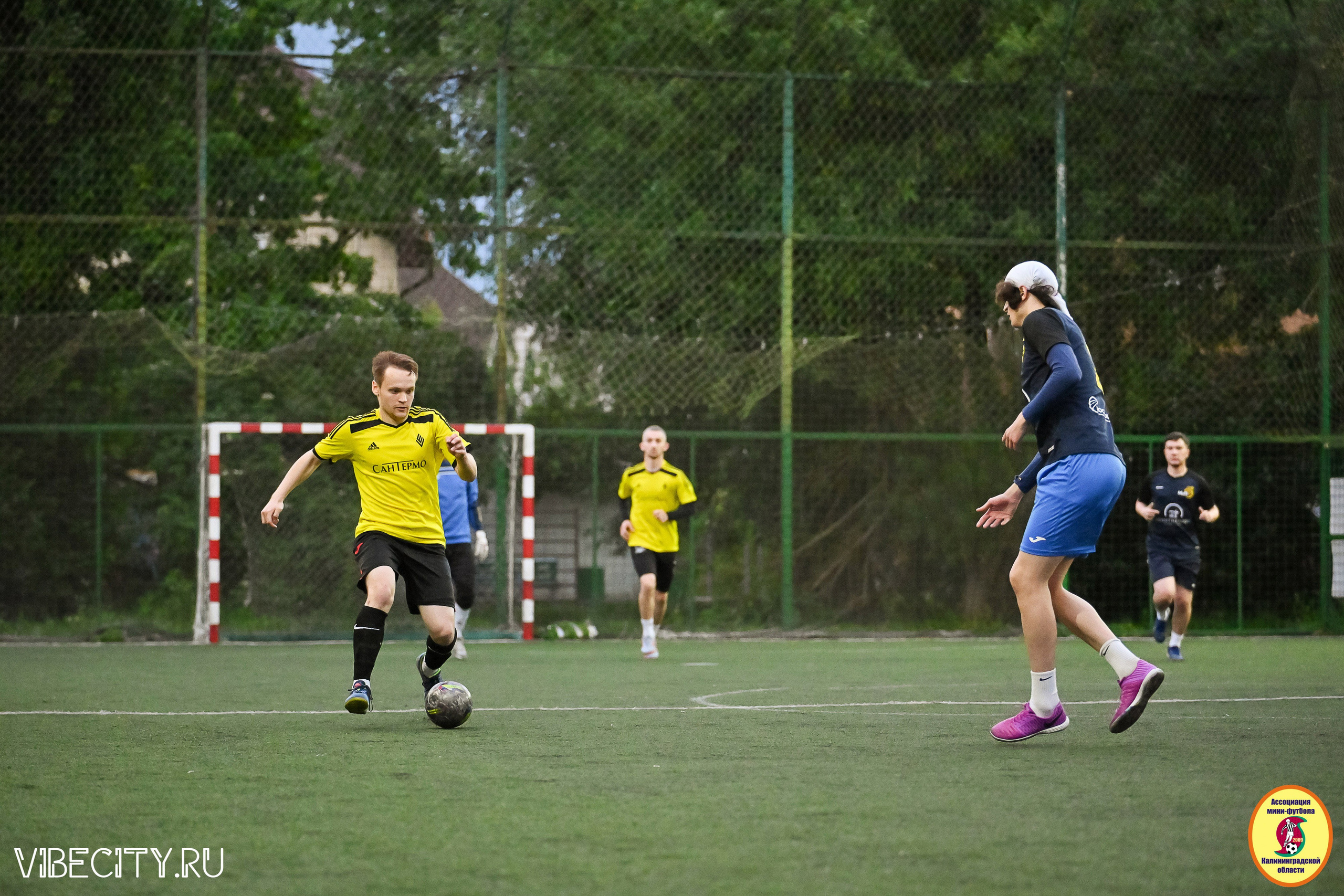 ИГРЫ МИНИ-ФУТБОЛЬНОЙ И КОРПОРАТИВНОЙ ЛИГИ. VIBECITY.RU Вайб Сити Ру Фоторепортажи Фотоотчеты Калининград
