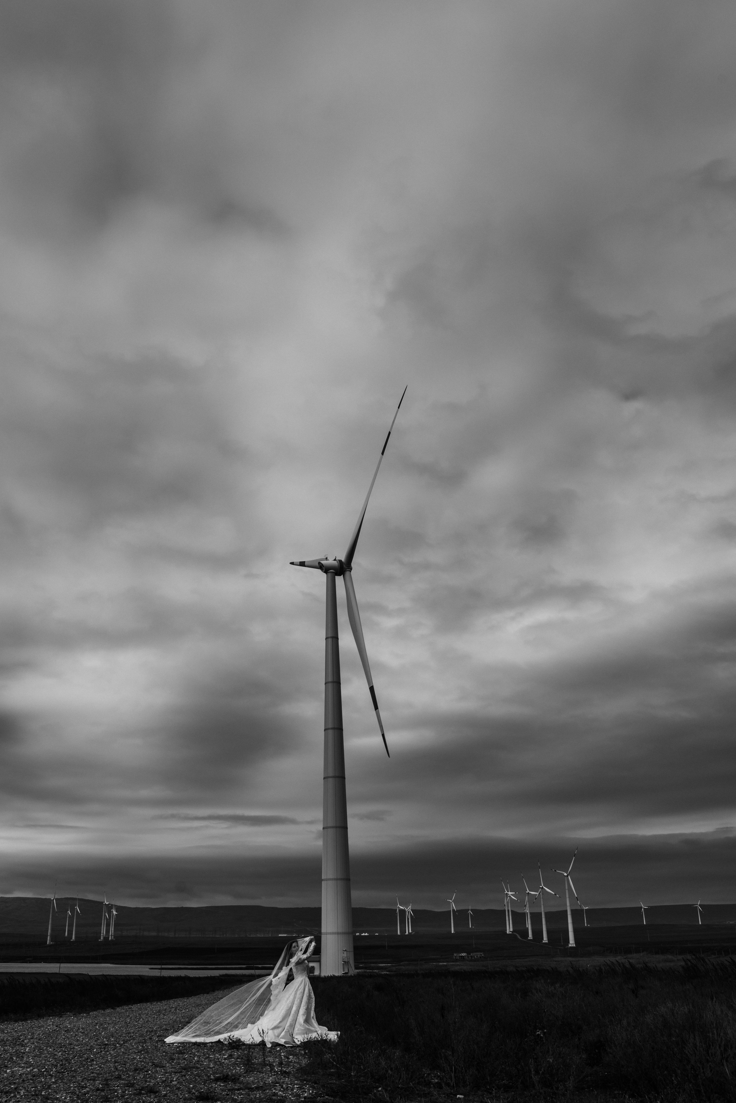 Свадебные съёмки. Фотограф Диана Семенова