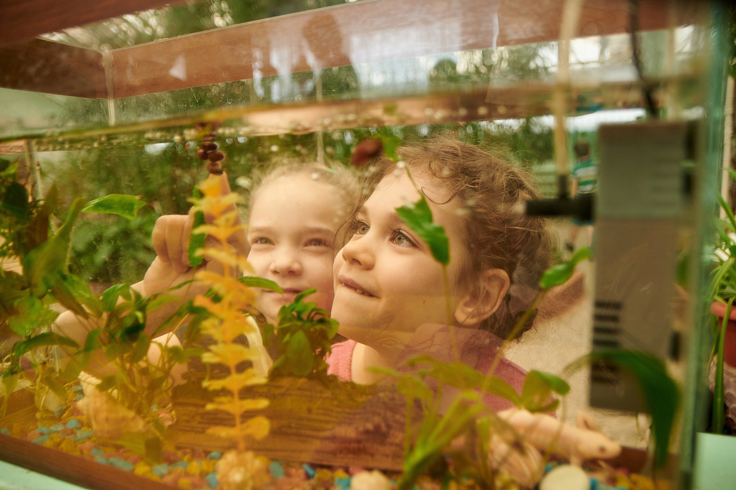 ДЕТСКИЙ САД. Фотограф Татаринов Павел