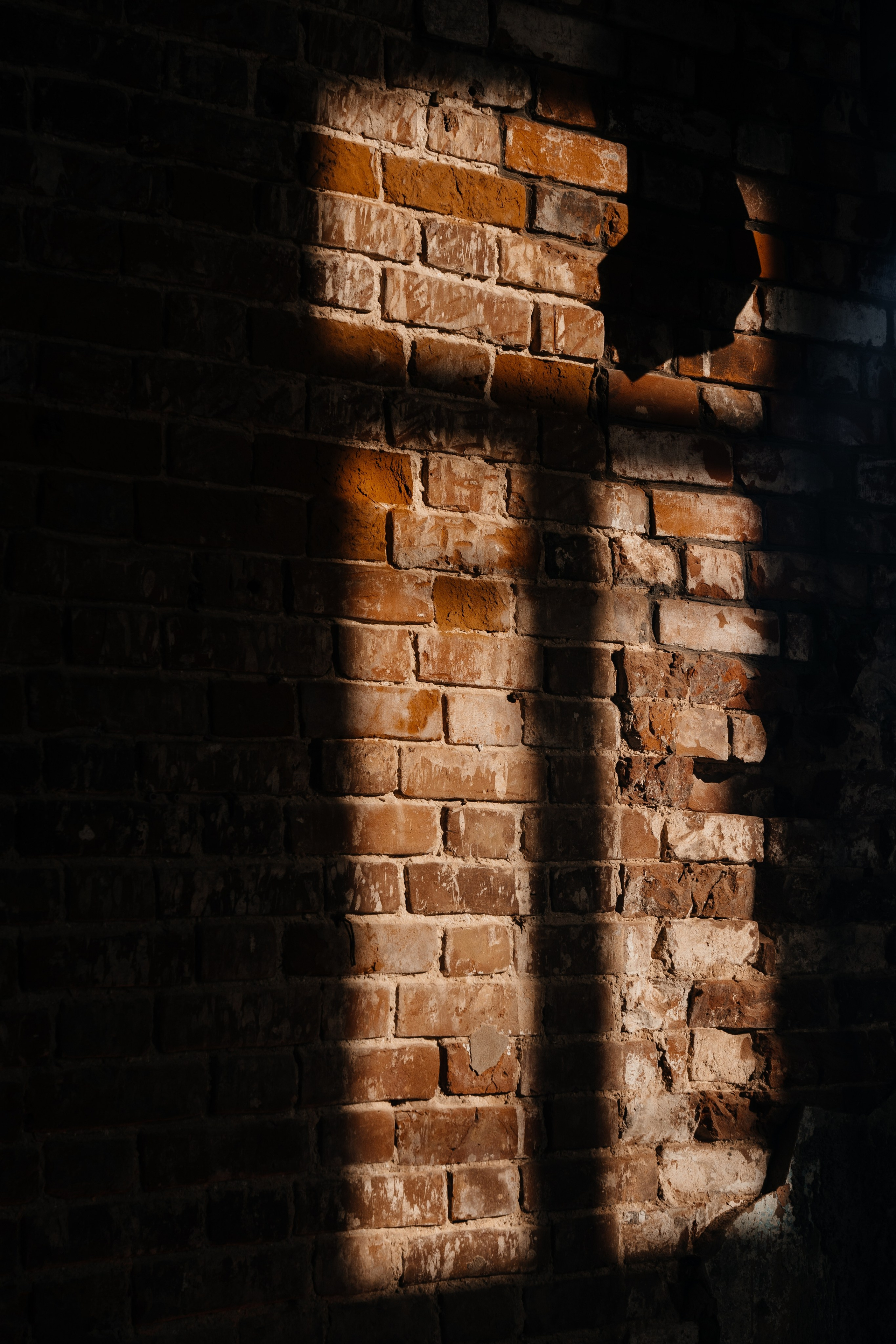 ПРОЕКТ ТЕОРИЯ. Свадебный фотограф Барнаул Алексей Павлов