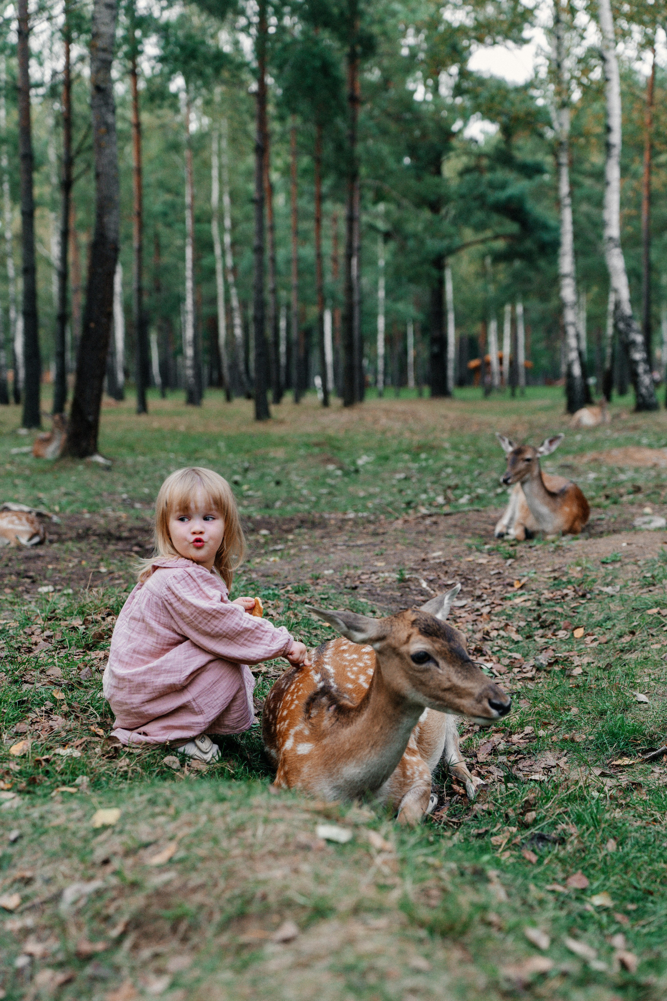 Диприз — в мире диких животных. Ваш семейный фотограф в Минске — Вика Трегубова