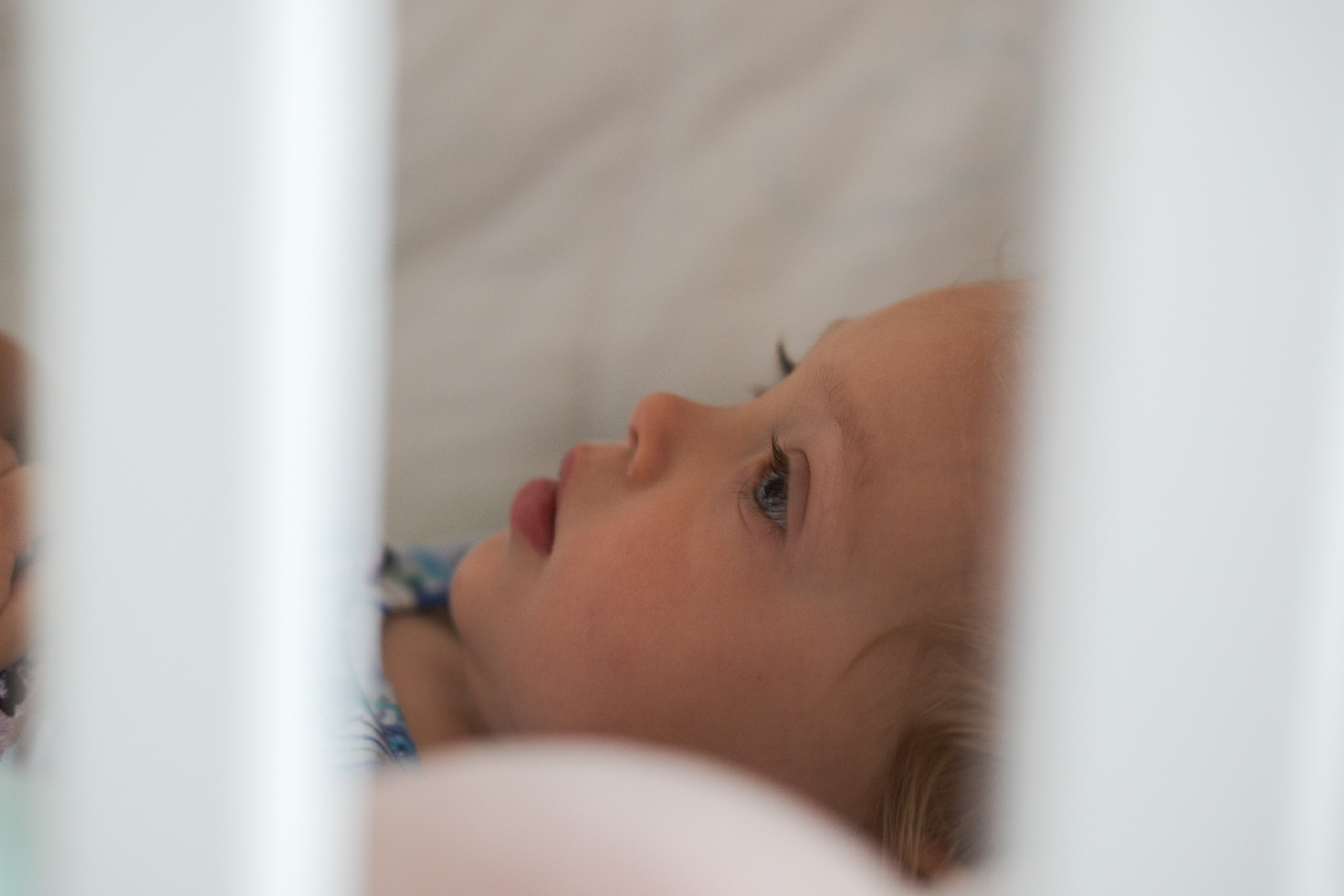 Таня и Ева. Семейный фотограф в Москве Кондрашова Ирина