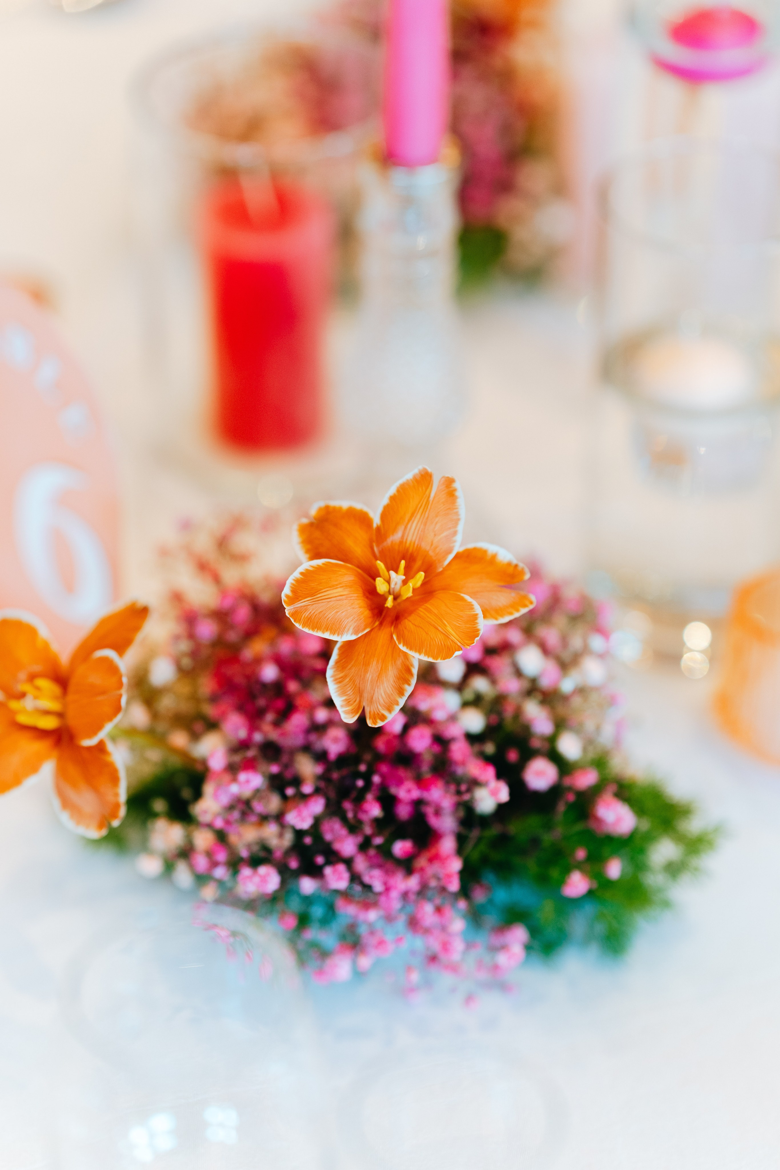 Photographe mariage Suisse Genève Europe. Professional Wedding Photographer Geneva & Romande Switzerland | Tanya Creator