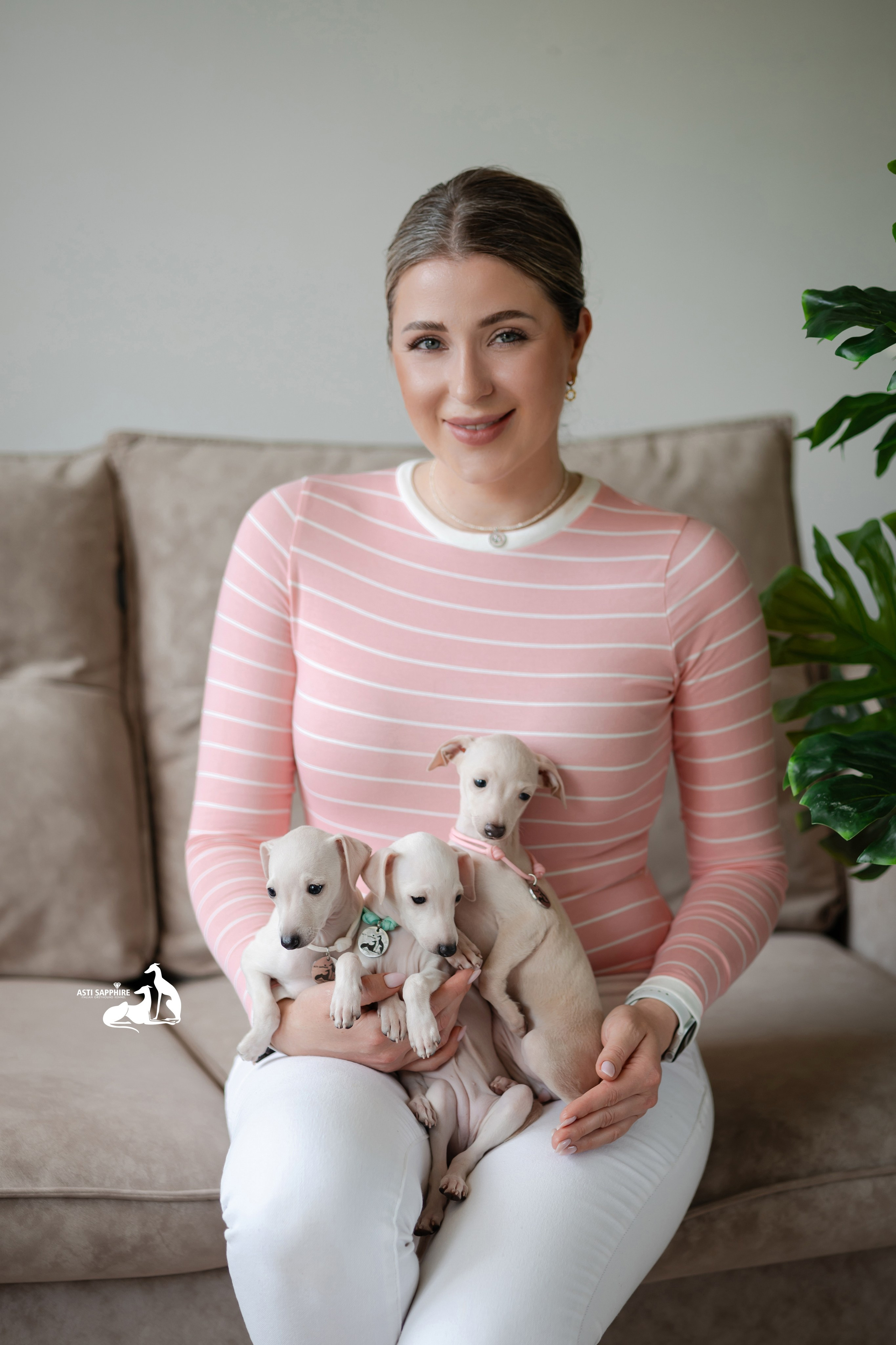 Белоснежные. Professional Italian Greyhound Kennel RKF/FCI ASTI SAPPHIRE 💎 Sochi|St. Petersburg