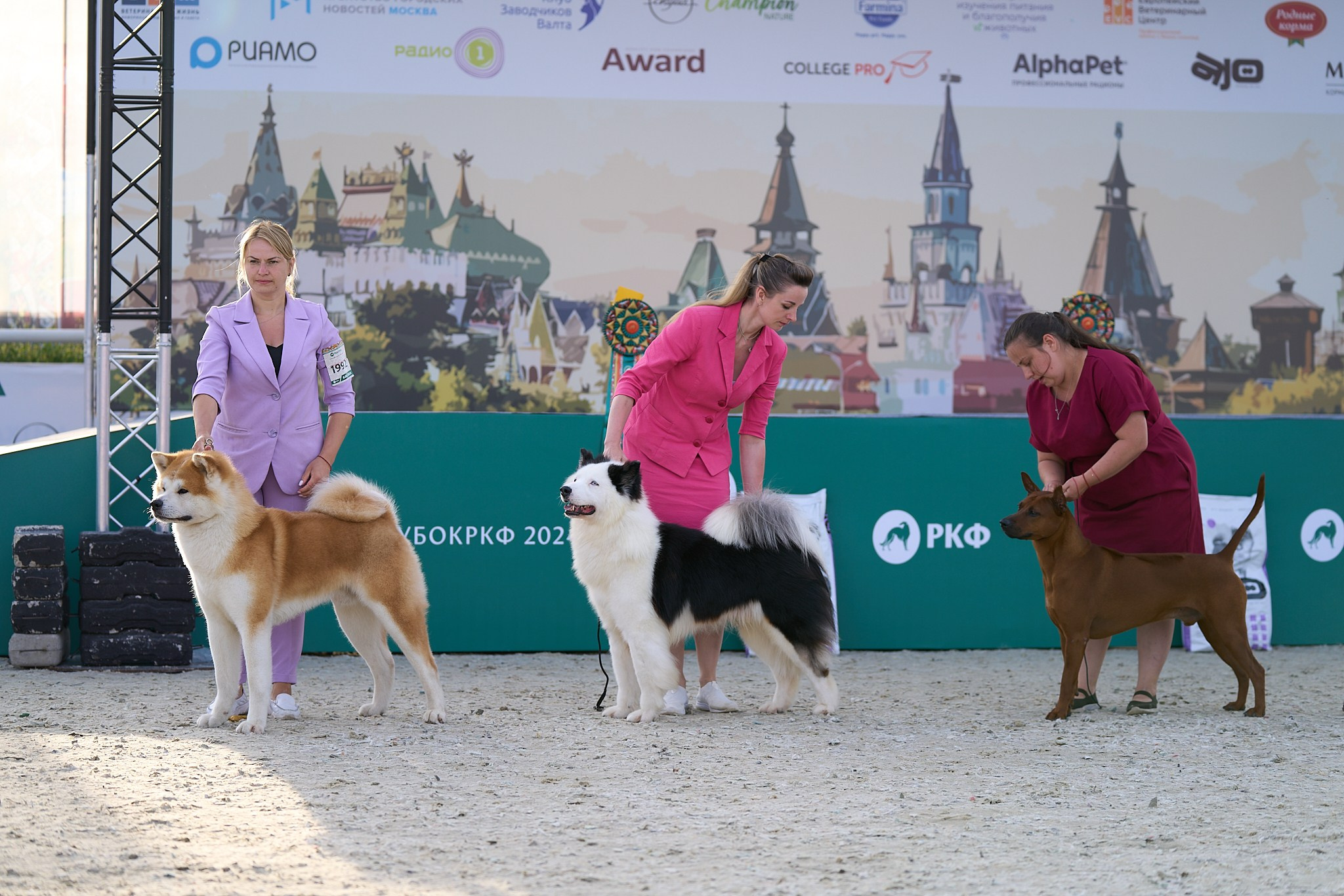 08.06.2024 «РОССИЯ. КУБОК РКФ 2024»