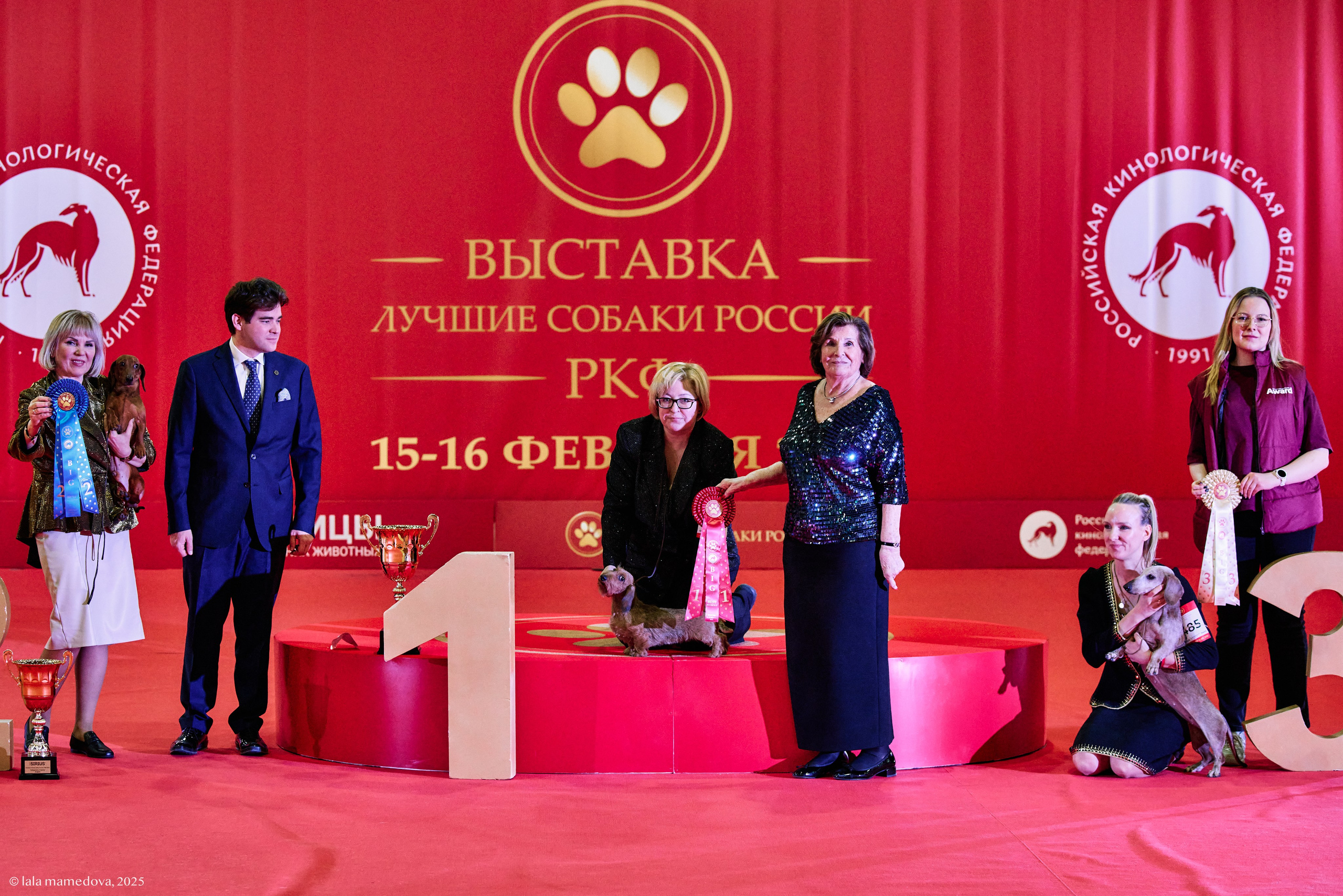 ЛУЧШИЕ СОБАКИ РОССИИ РКФ 2025