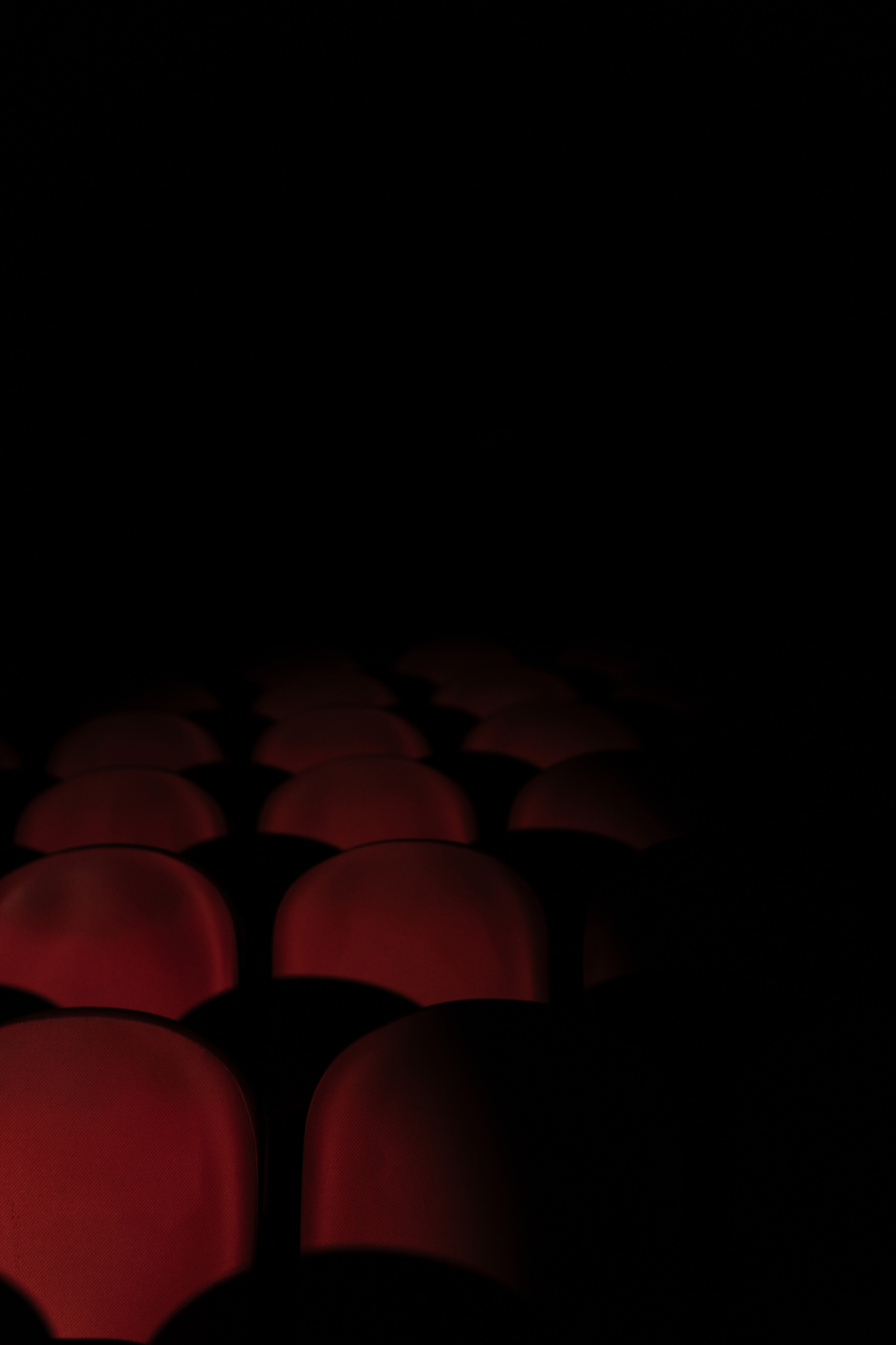 Cinema. Свадебный и семейный фотограф Чижова Алина