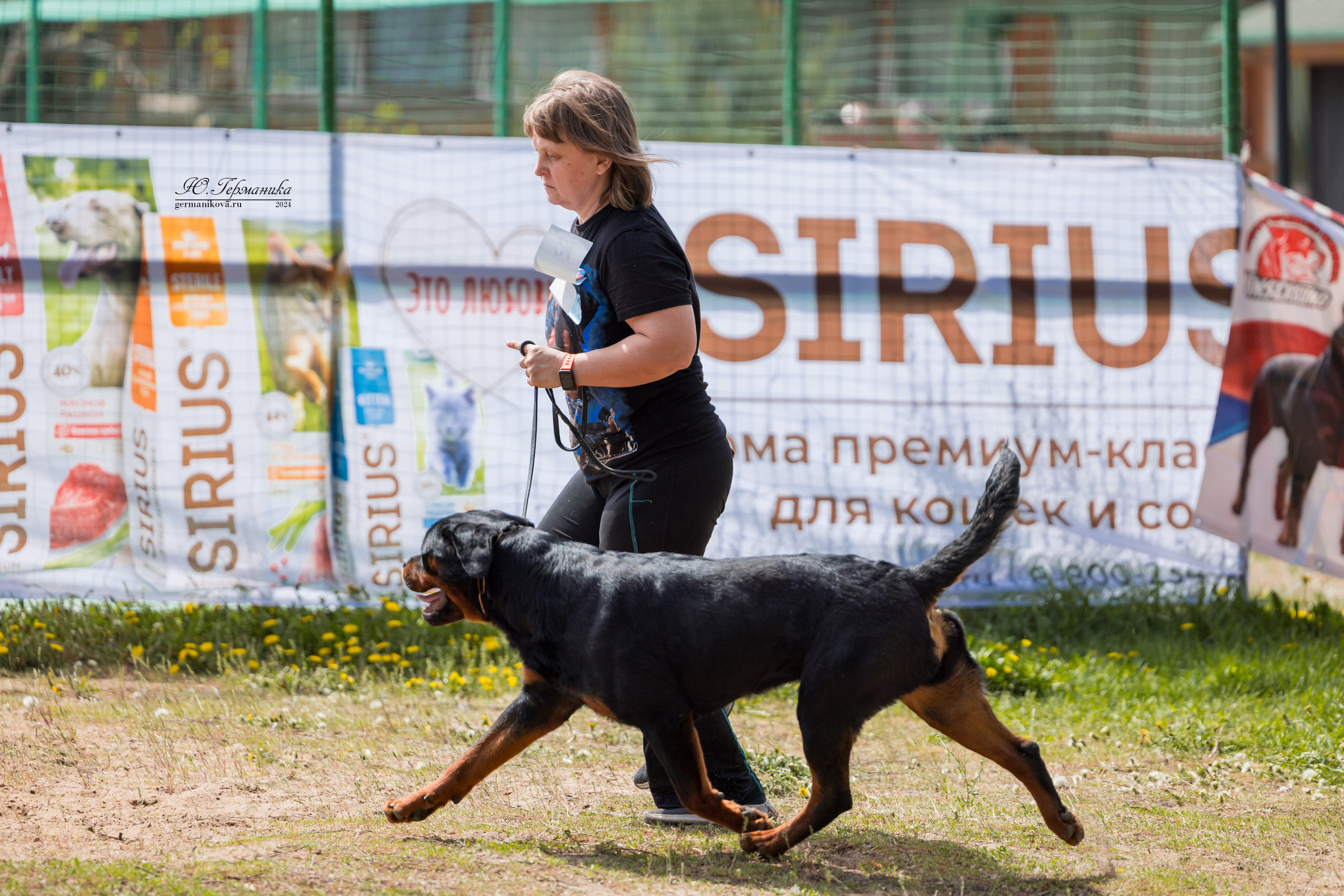 Саратов 2 х моно ротвейлеров 28-29.04.2024. Фотограф-анималист Юлия Германика