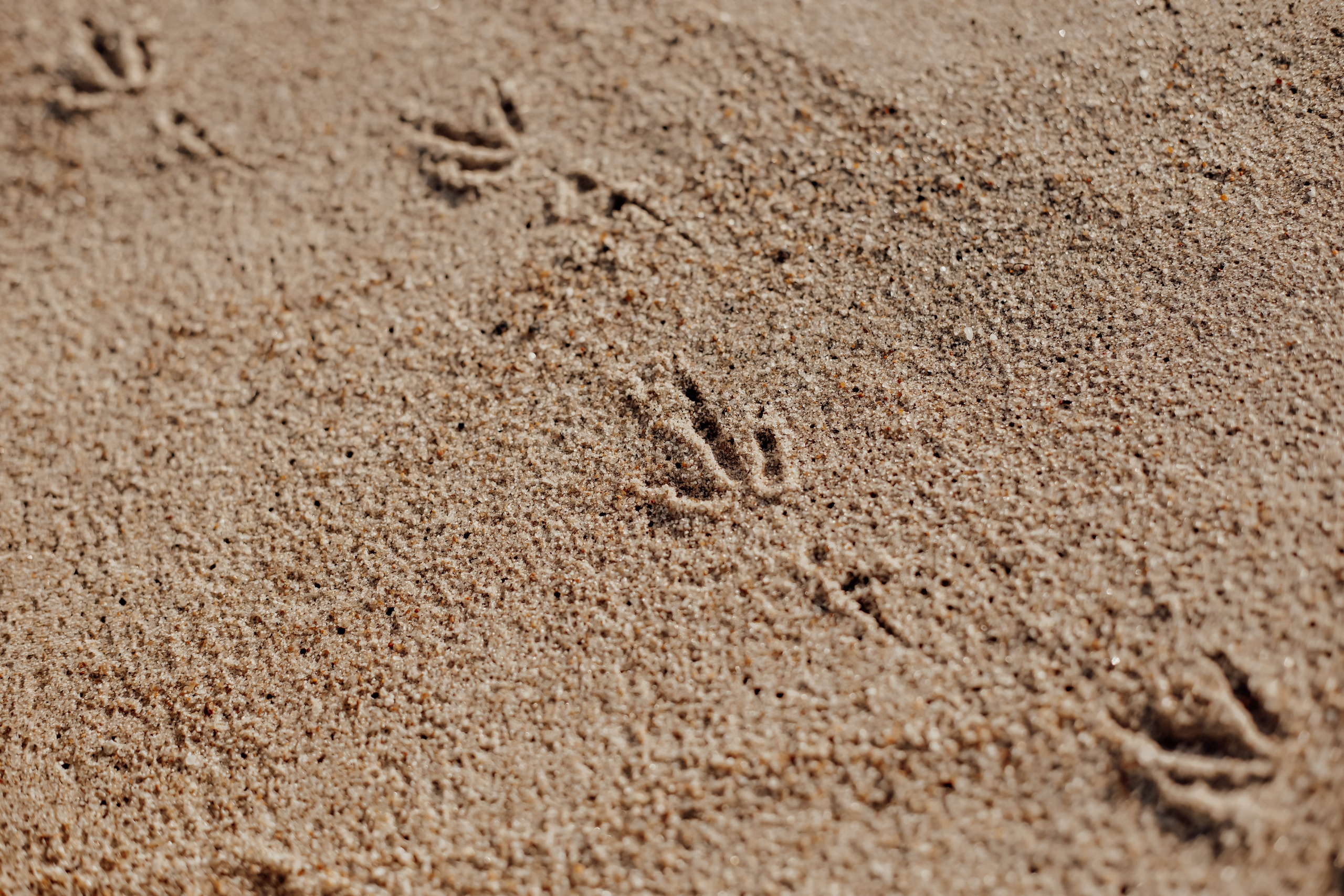 Балтийск. Свадебный и семейный фотограф/видеограф в Краснодаре Наталья Осинская