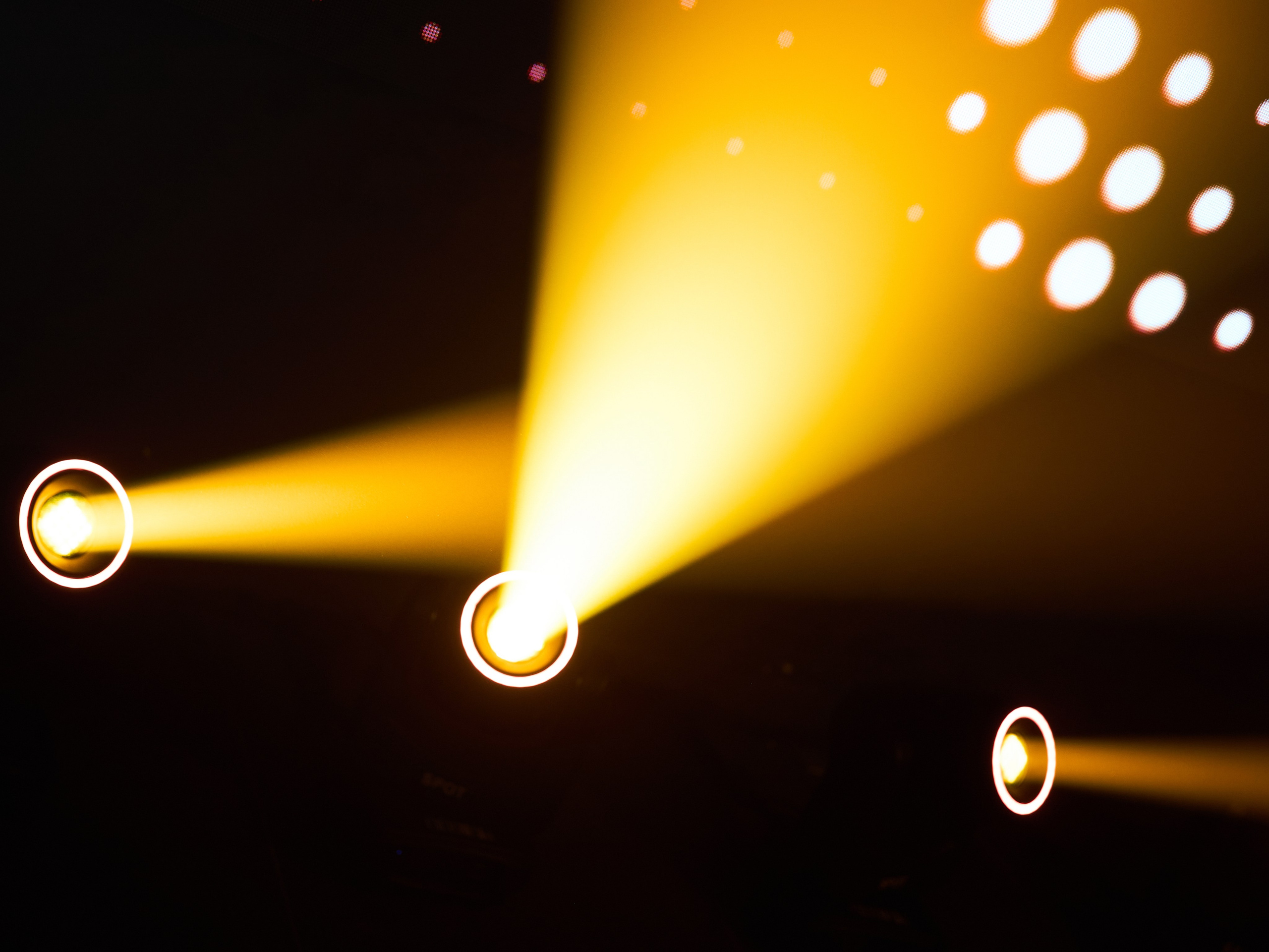 СЕГОДНЯ ТОЛЬКО ПО ЛЮБВИ. Свадебный фотограф Анна Чащухина