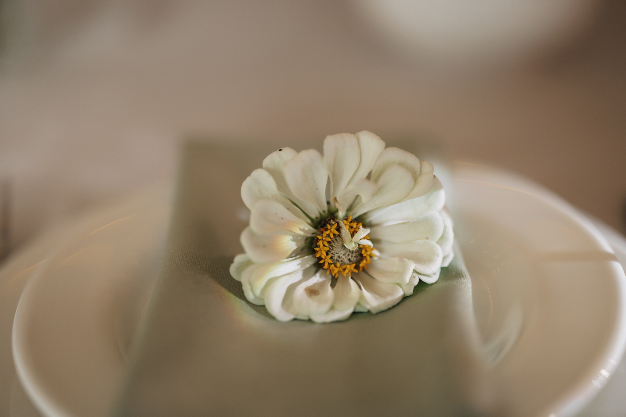 Марина & Денис " Любовь ". Оформление свадеб, декор свадеб Вера Маркова, Москва