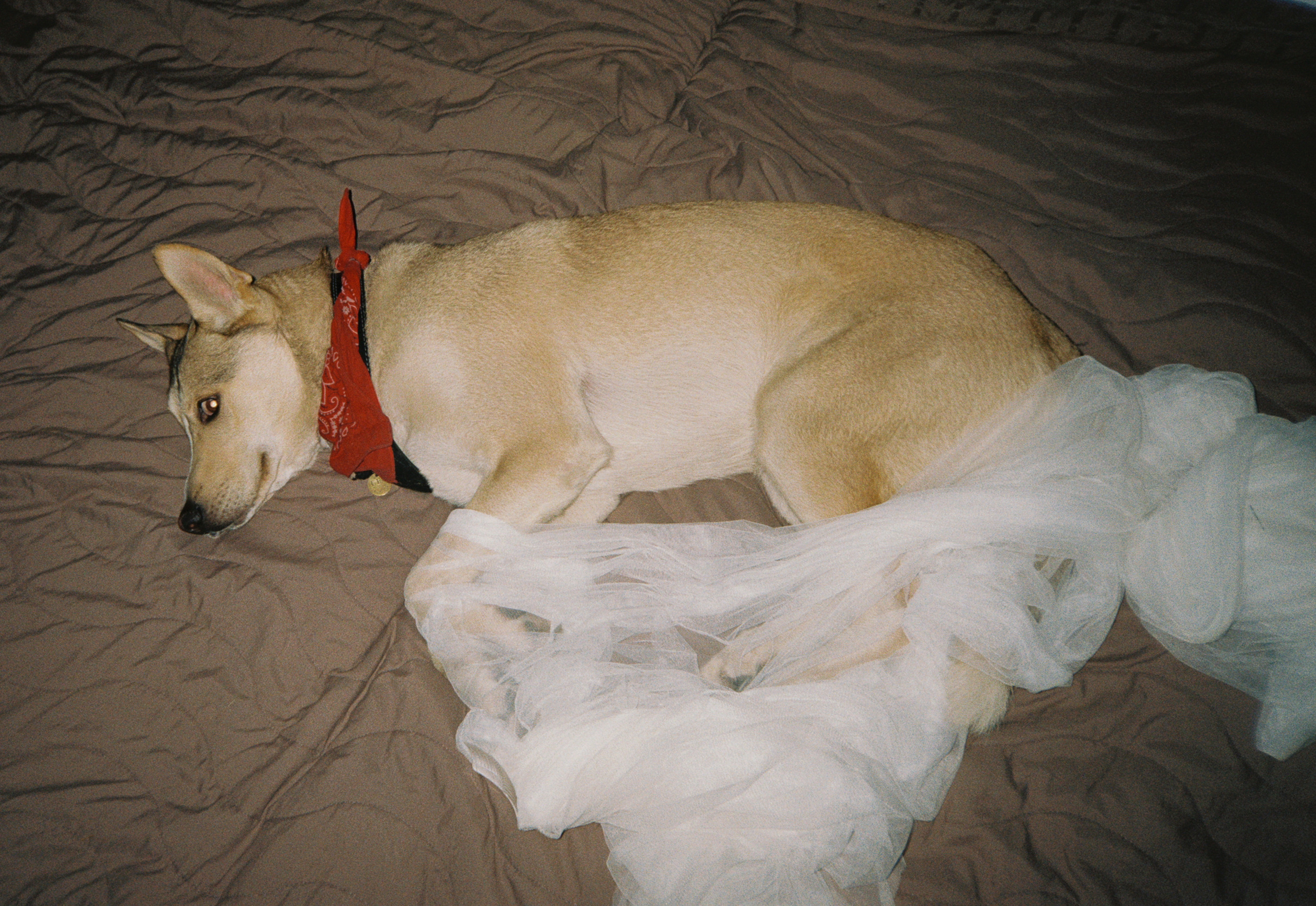 Мадонна & Наиль. Фотограф Serj Ganso