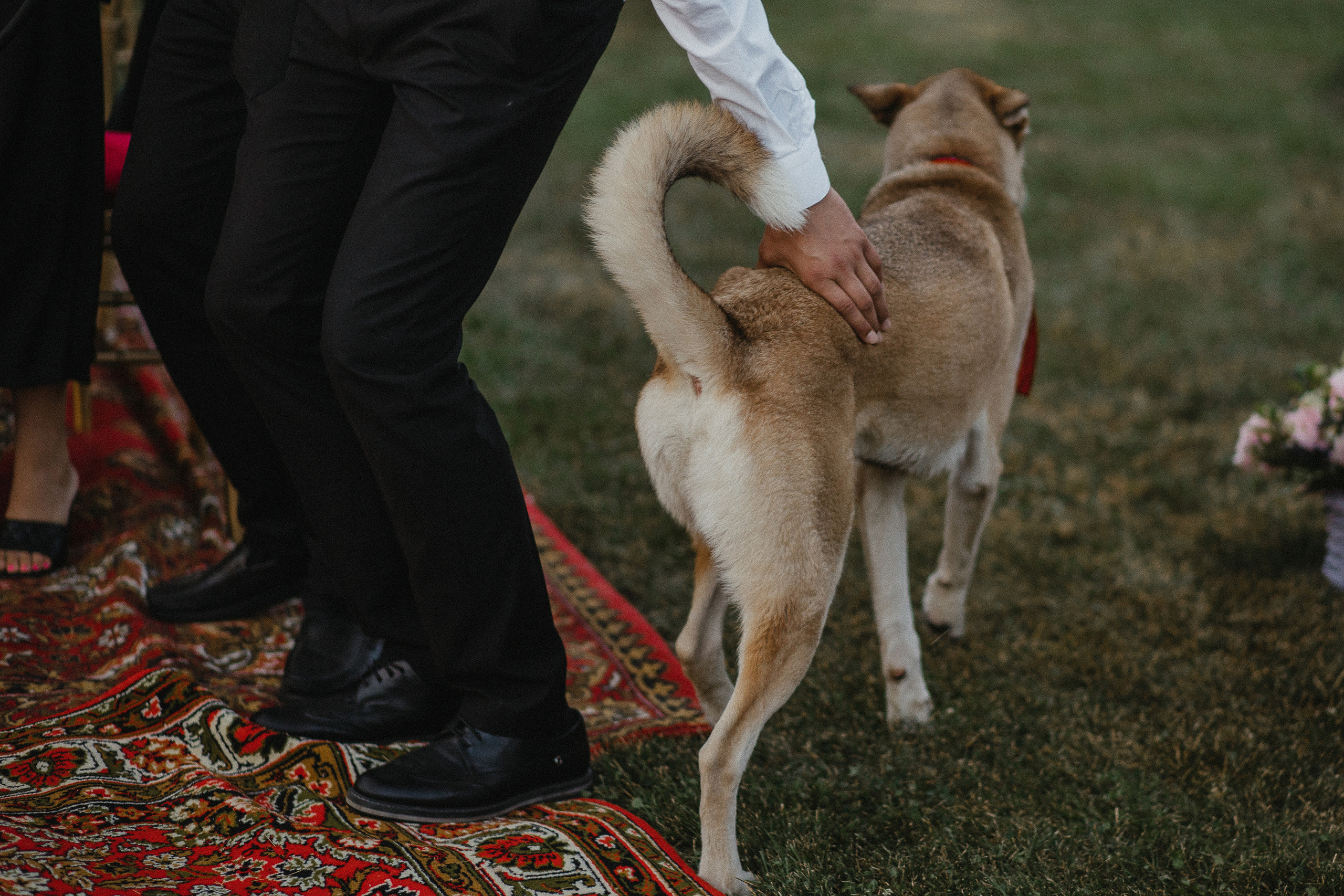 Мадонна & Наиль. Фотограф Serj Ganso