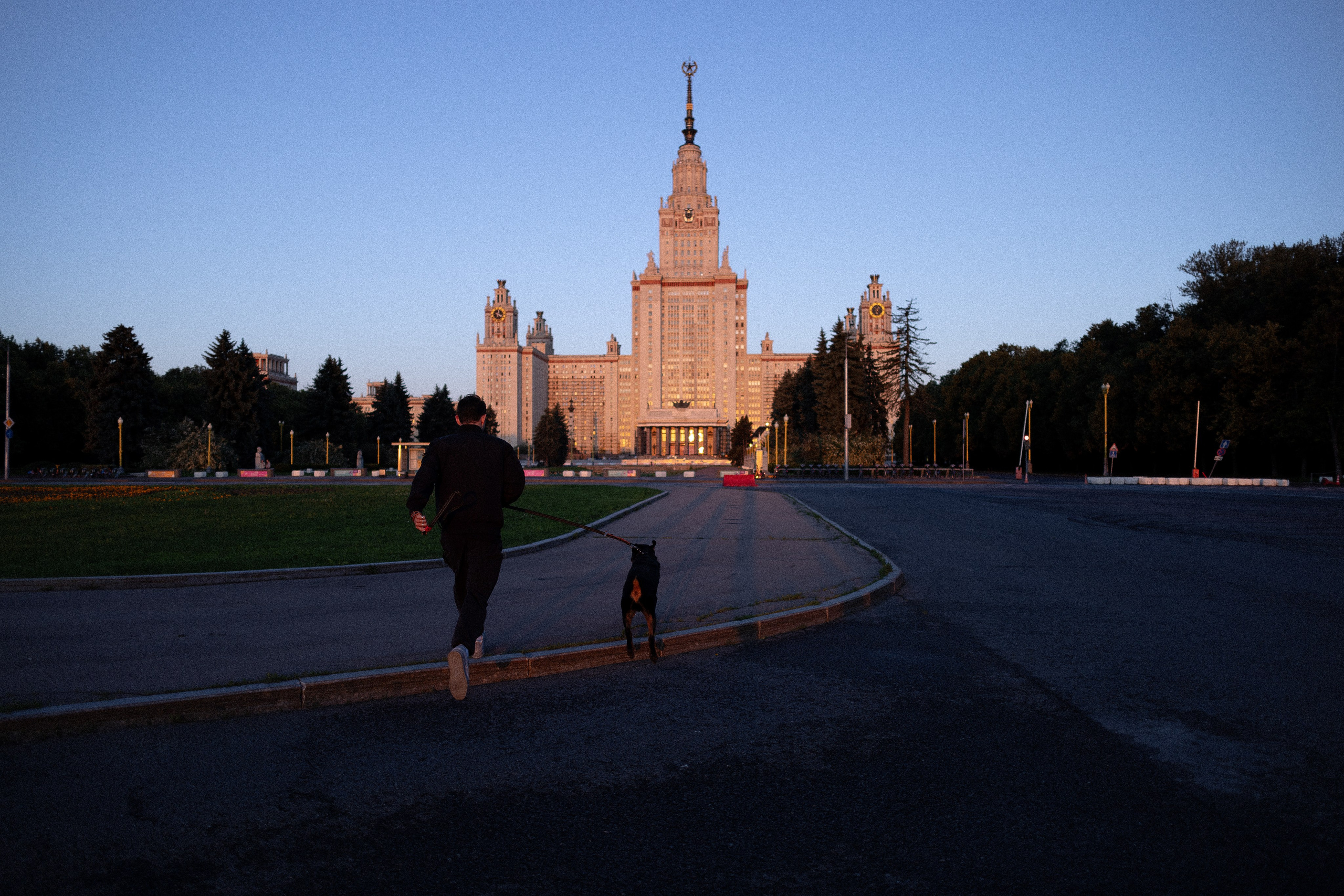 Катя, Леша, Лея и Трой. Фотограф и видеограф анималист Аганина Дарья