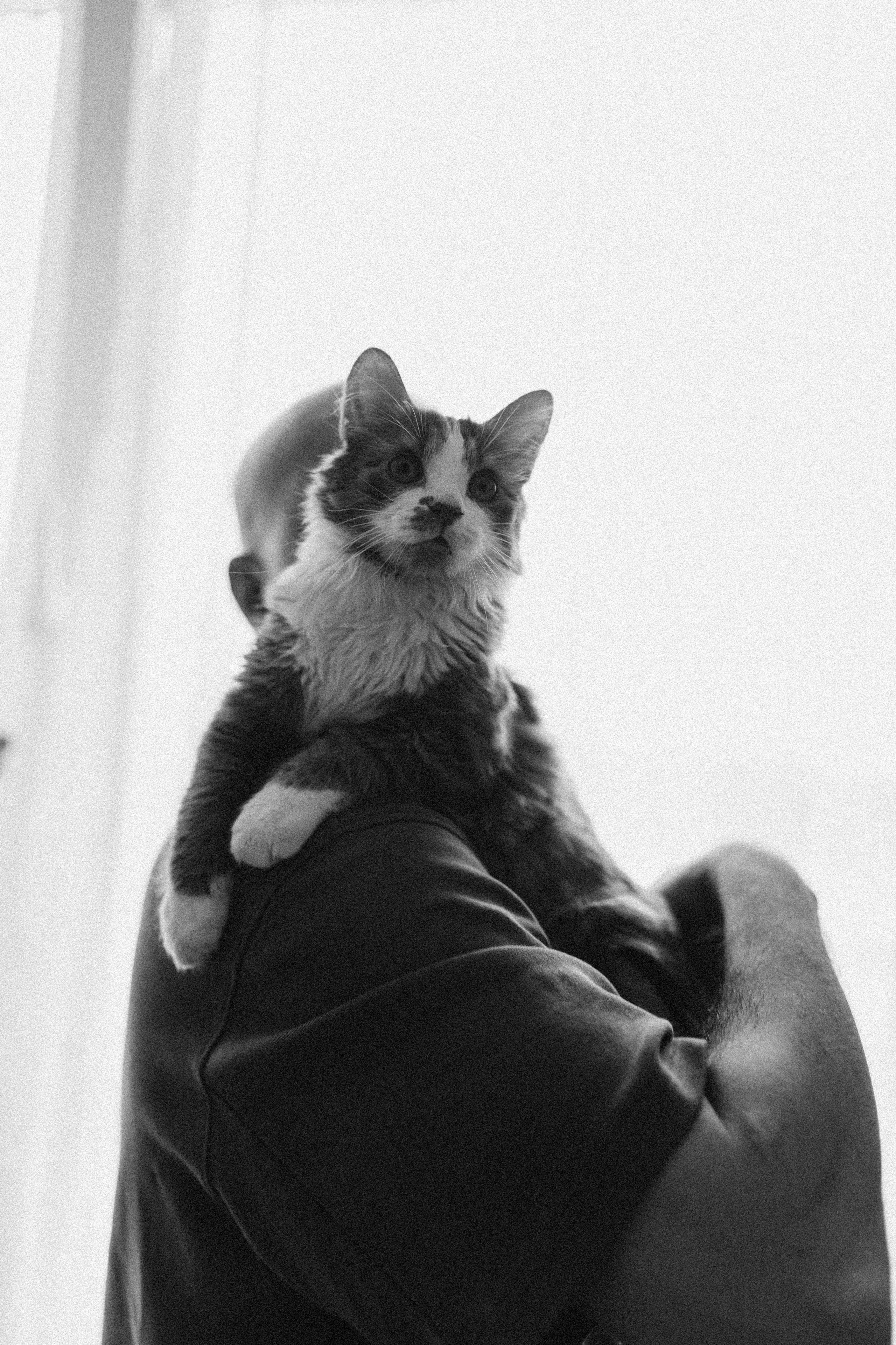 Тимур и Юля. Фотограф в Петербурге Ольга Стрельченко