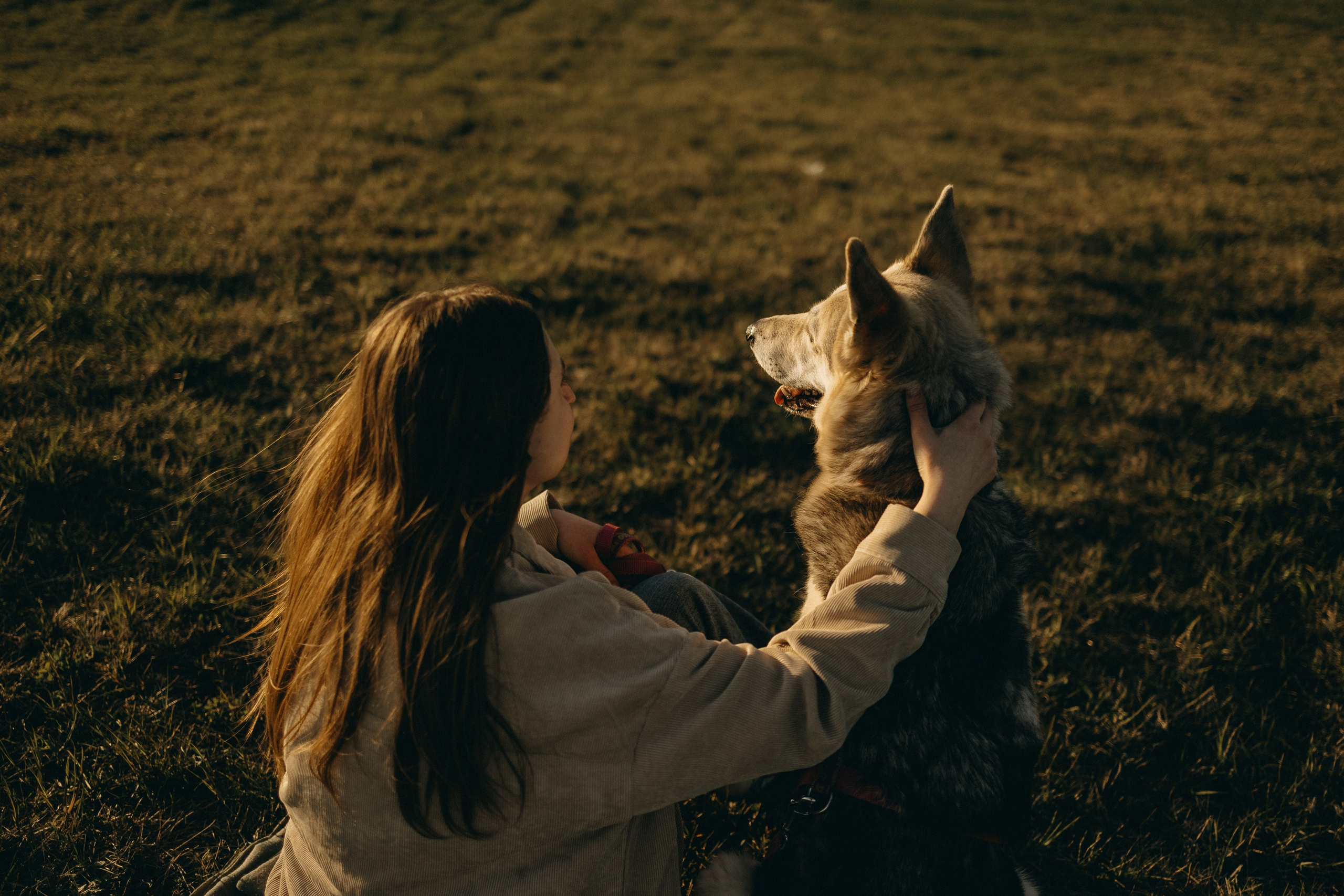Саша и Зельда. Фотограф — Анималист | Санкт-Петербург