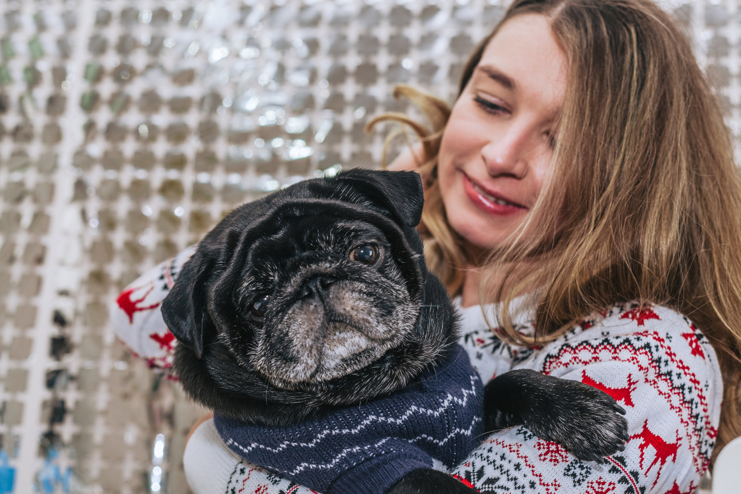 Домашняя фотосессия Оли и двух ее мопсов. Фотограф-анималист Татьяна Степанова