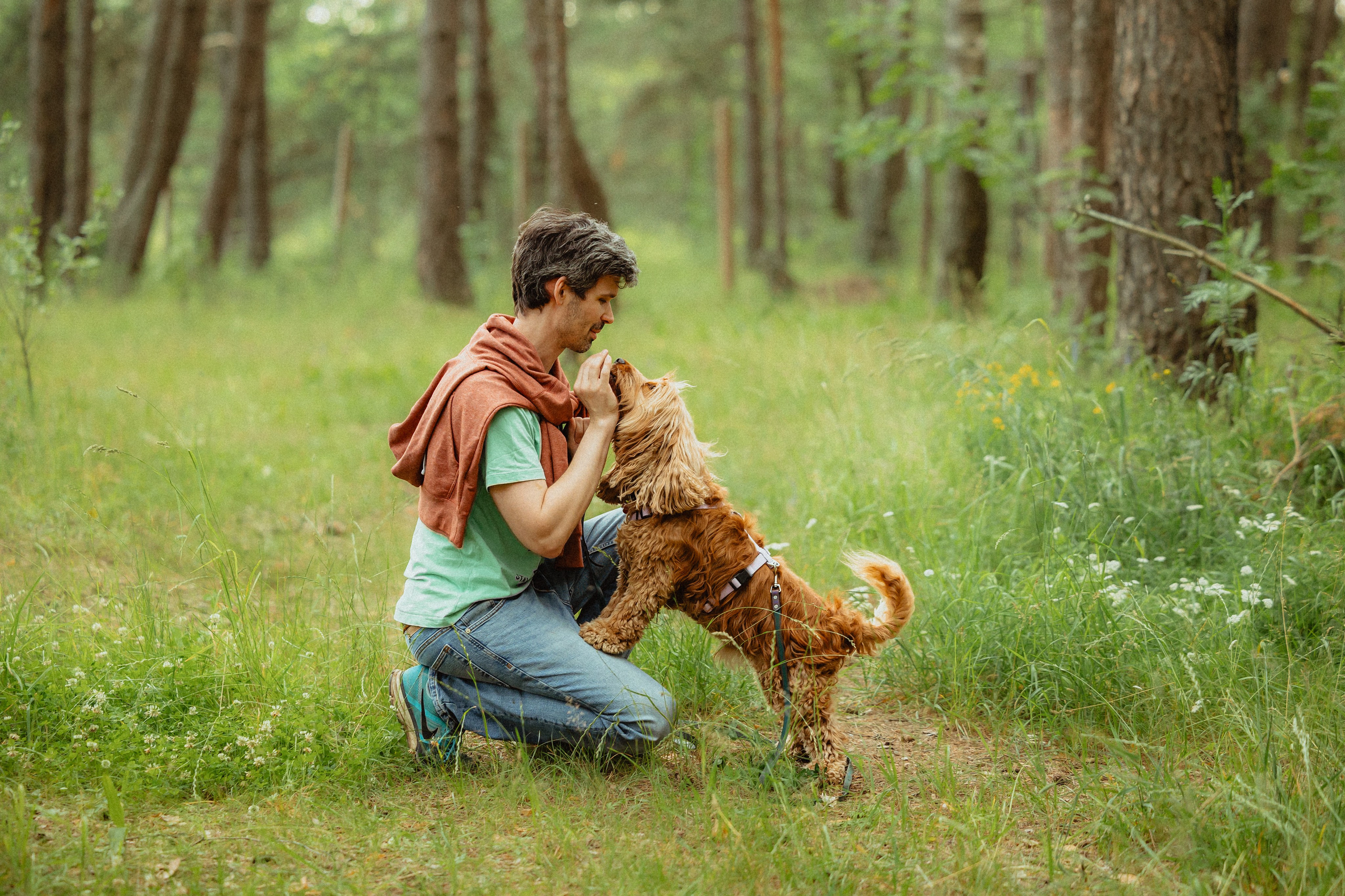 Выездной дог-тренинг от школы «Шерсть имею»