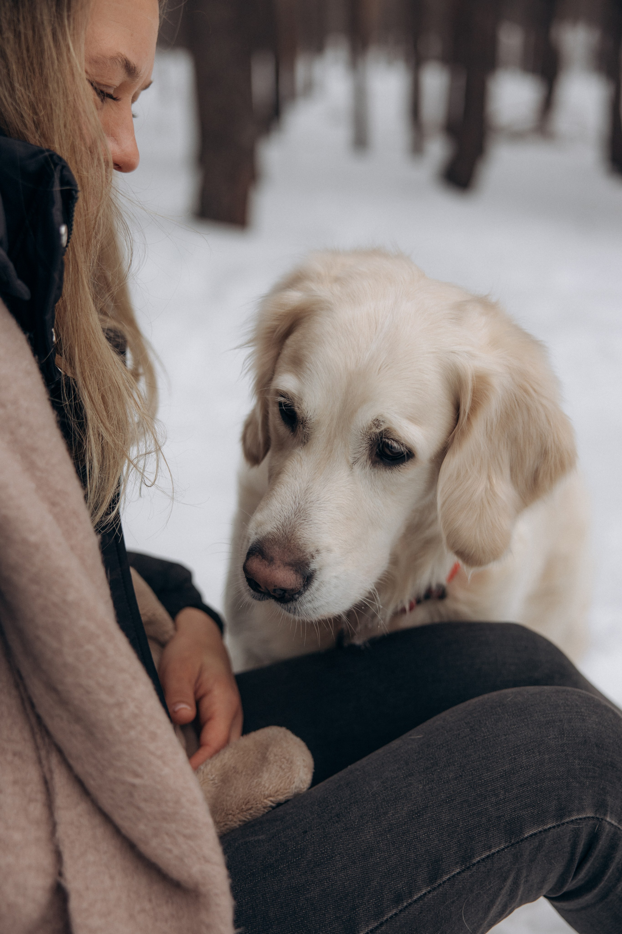 Зима. Лес. Татьяна и Делла. Фотограф анималист в Казани Алина Сулейманова. Фотограф животных