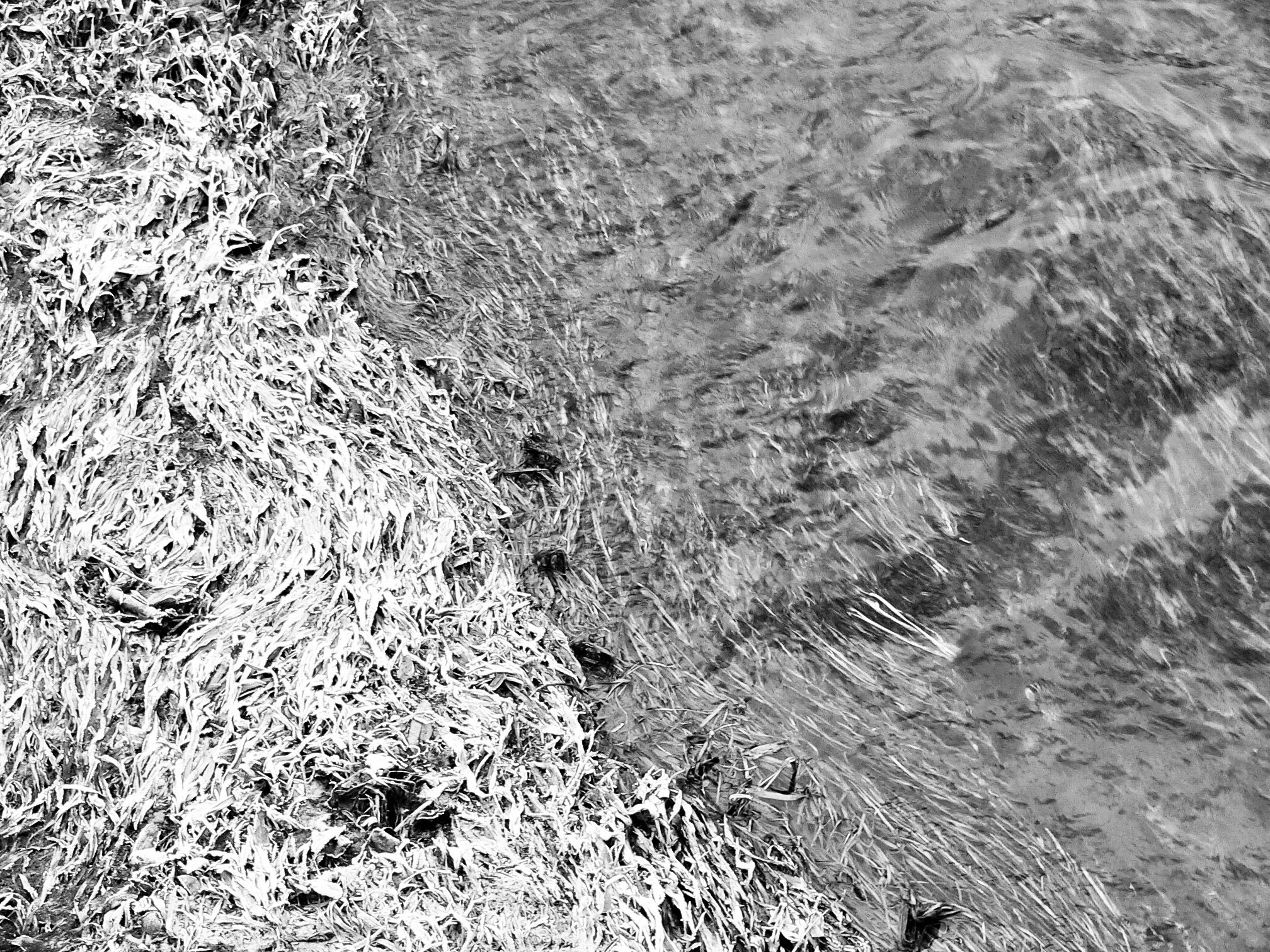 Автор: Анна Зигалова