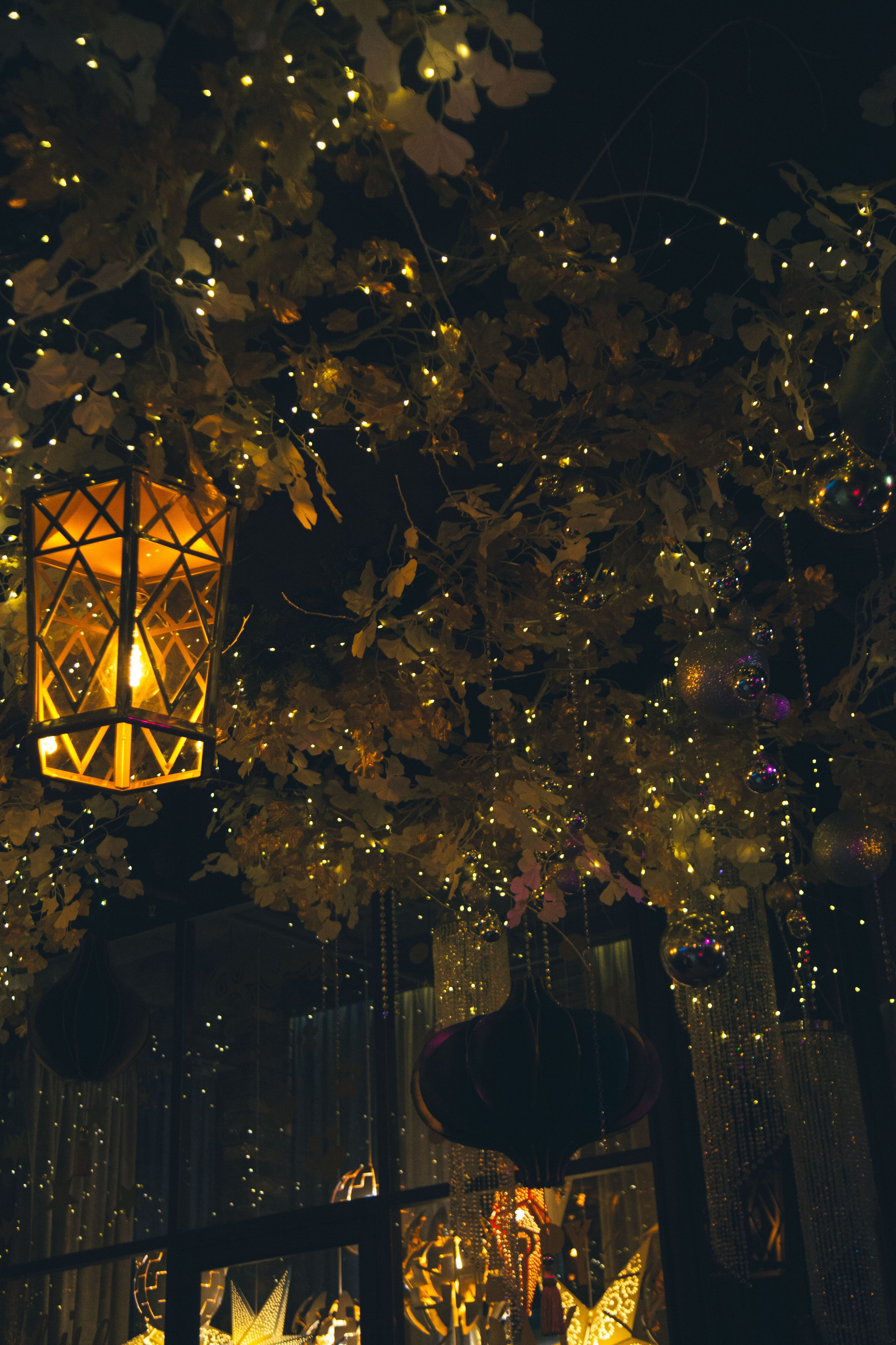 Cheeseria, ресторан-сыроварня. 23.12.23. Профессиональное фото в Казани: от идеи до результата. Фотограф Яна Мур