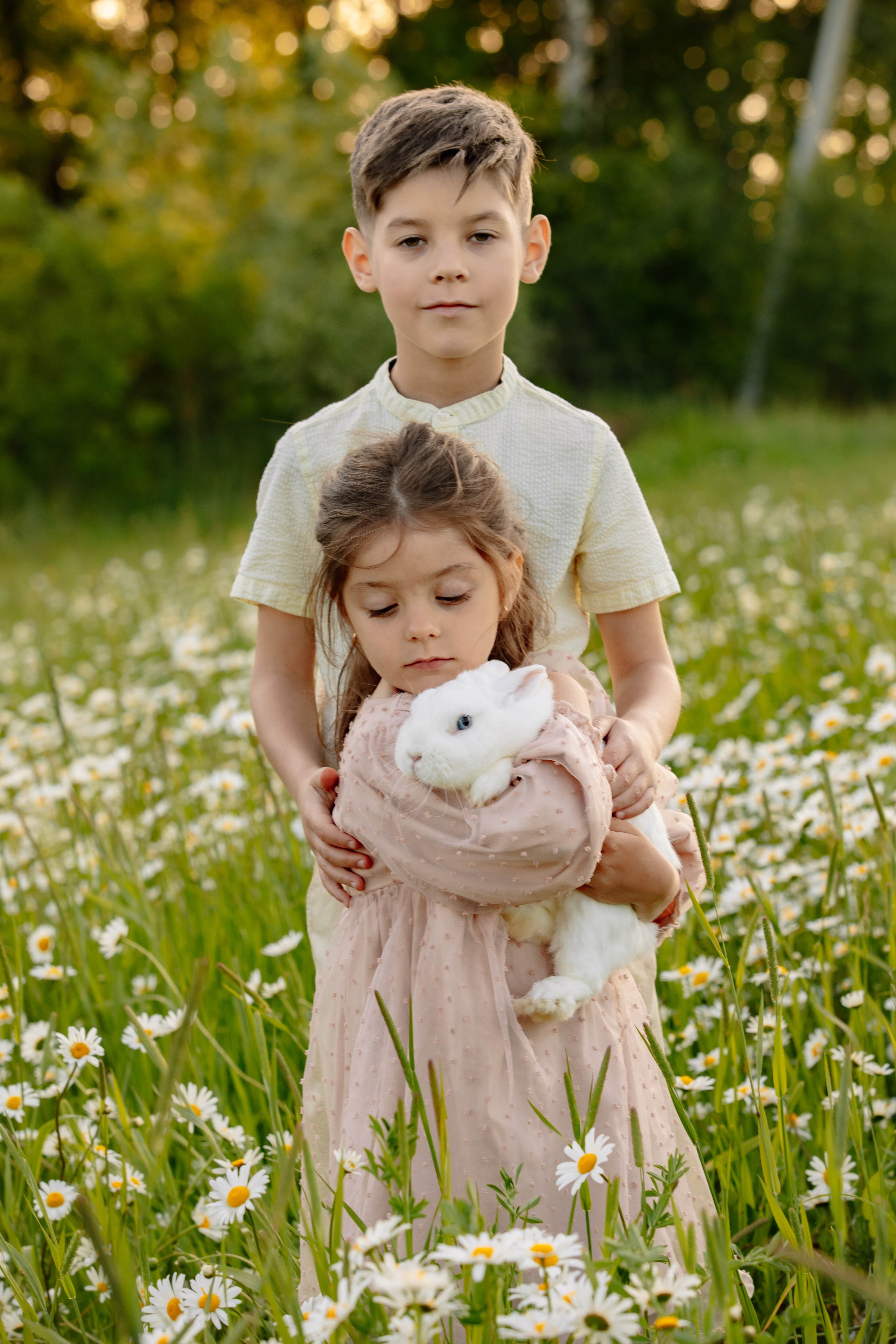 Ромашковое поле. Фотограф в Москве Яна Полосина