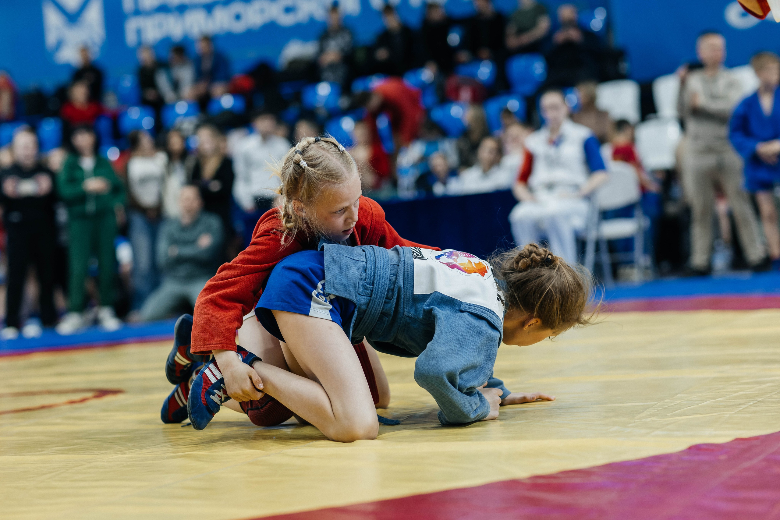 Sambo Championship. Maxim Tsoy Photography