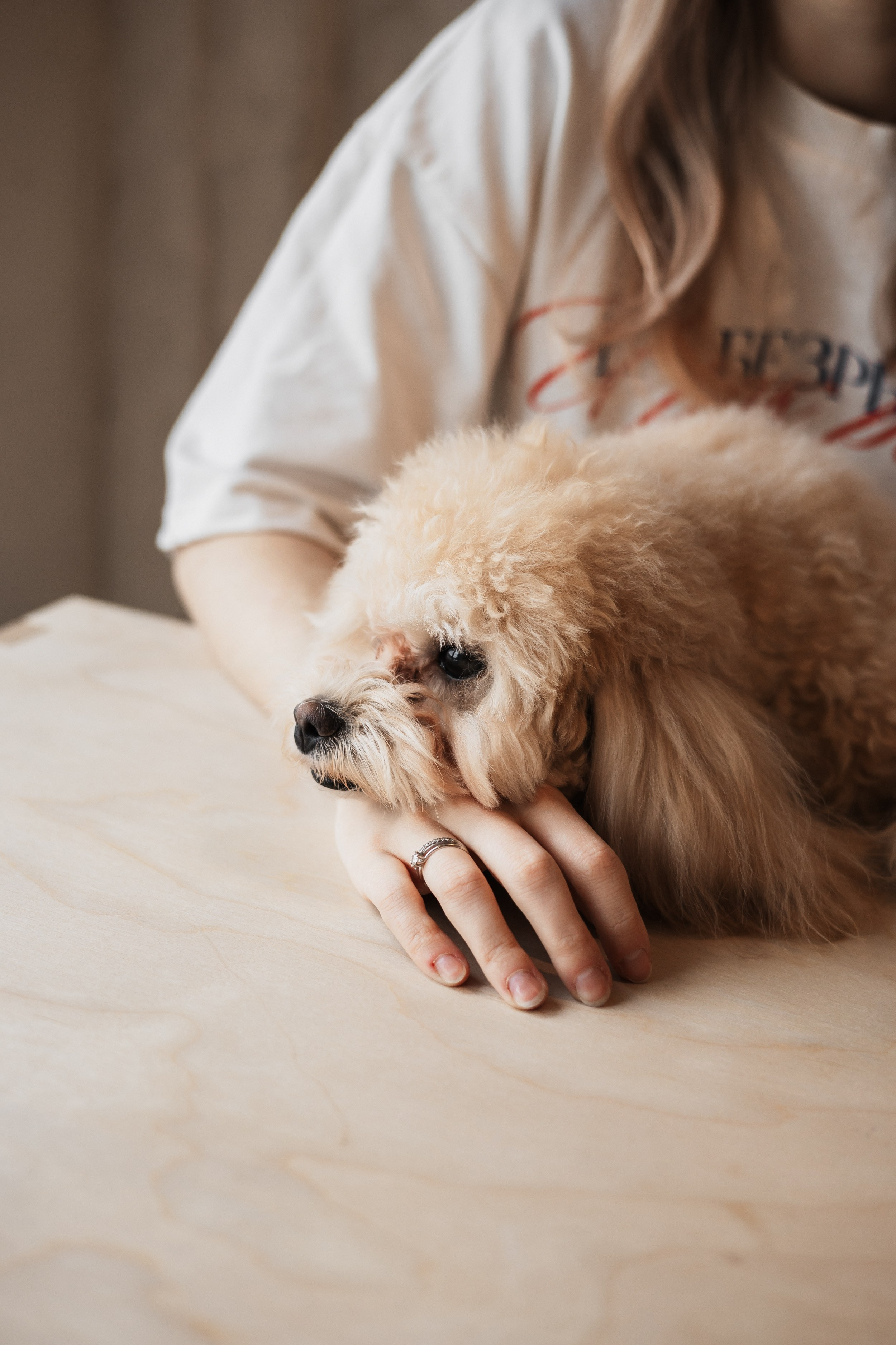 Алина — прогулка