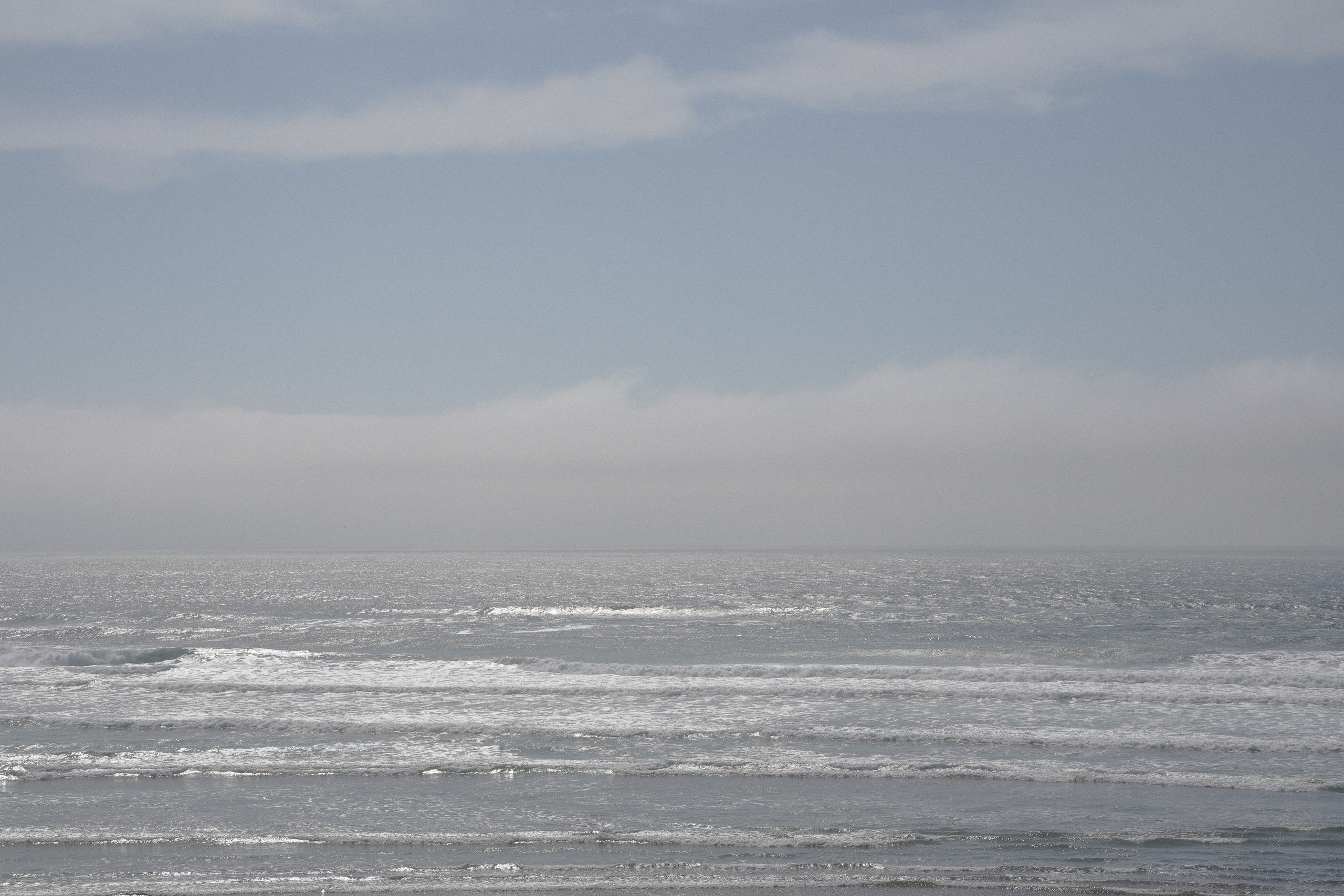 Ocean’s atmosphere. Elopement & wedding photographer in Seattle, WA
