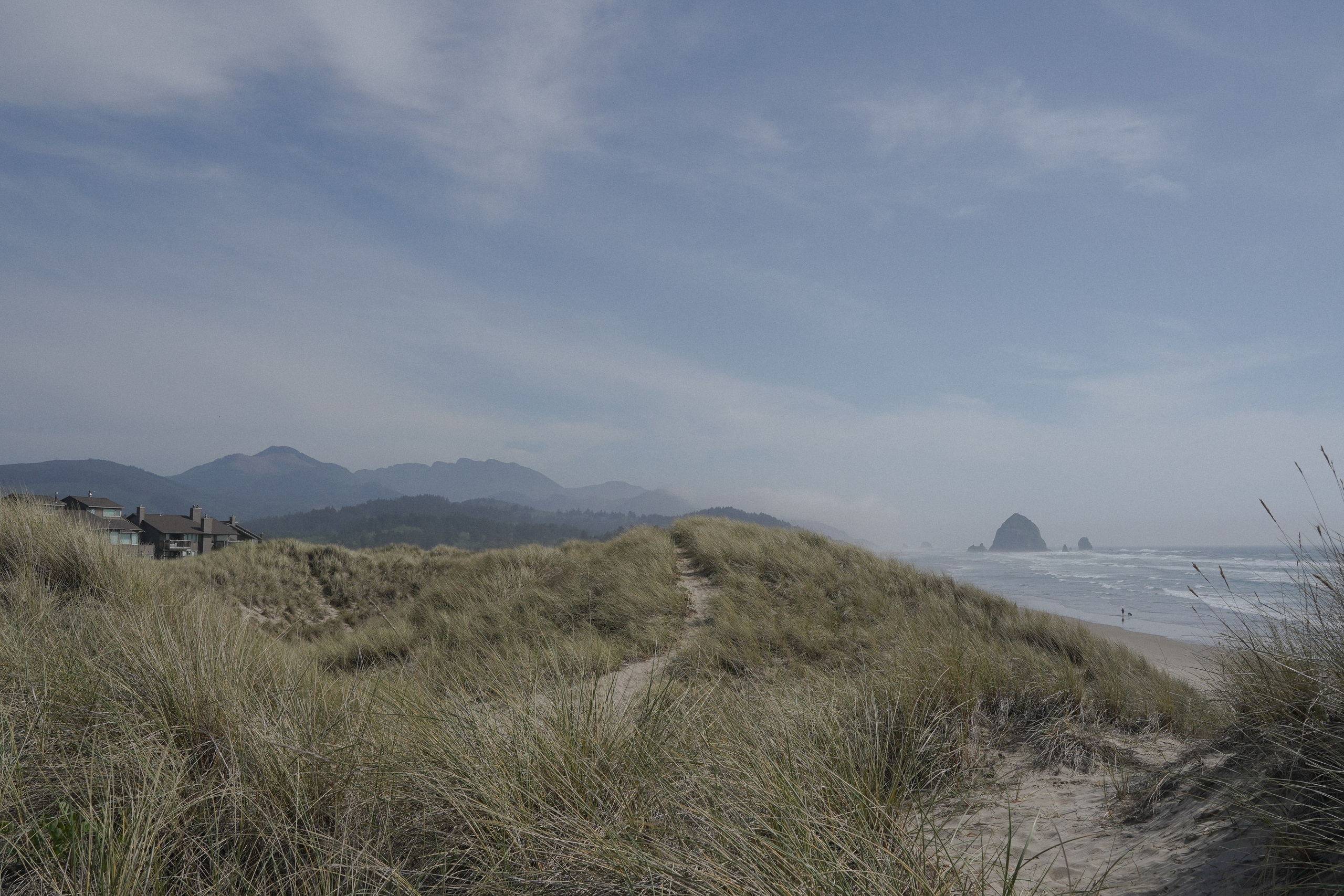 Ocean’s atmosphere. Elopement & wedding photographer in Seattle, WA