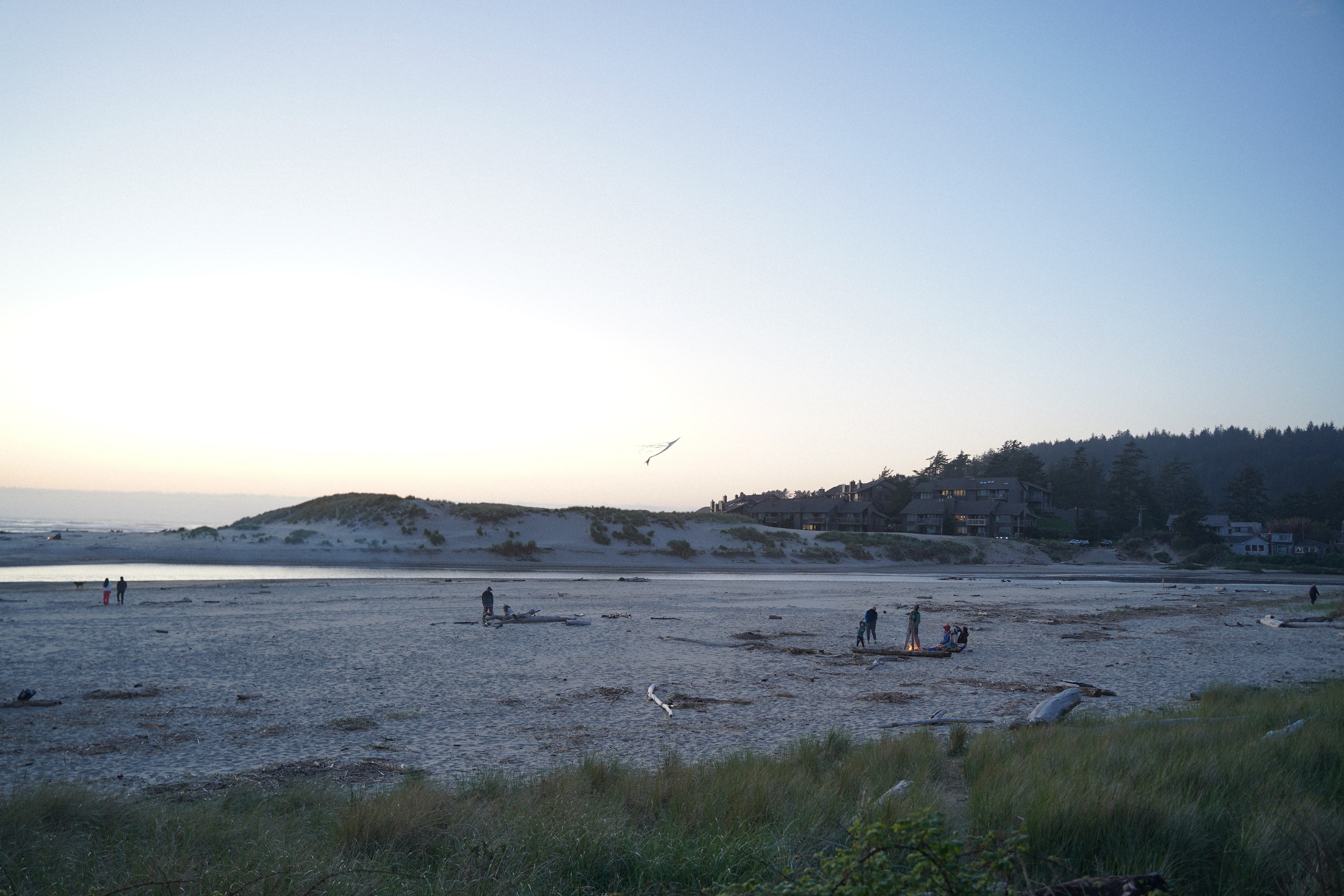 Ocean’s atmosphere. Elopement & wedding photographer in Seattle, WA