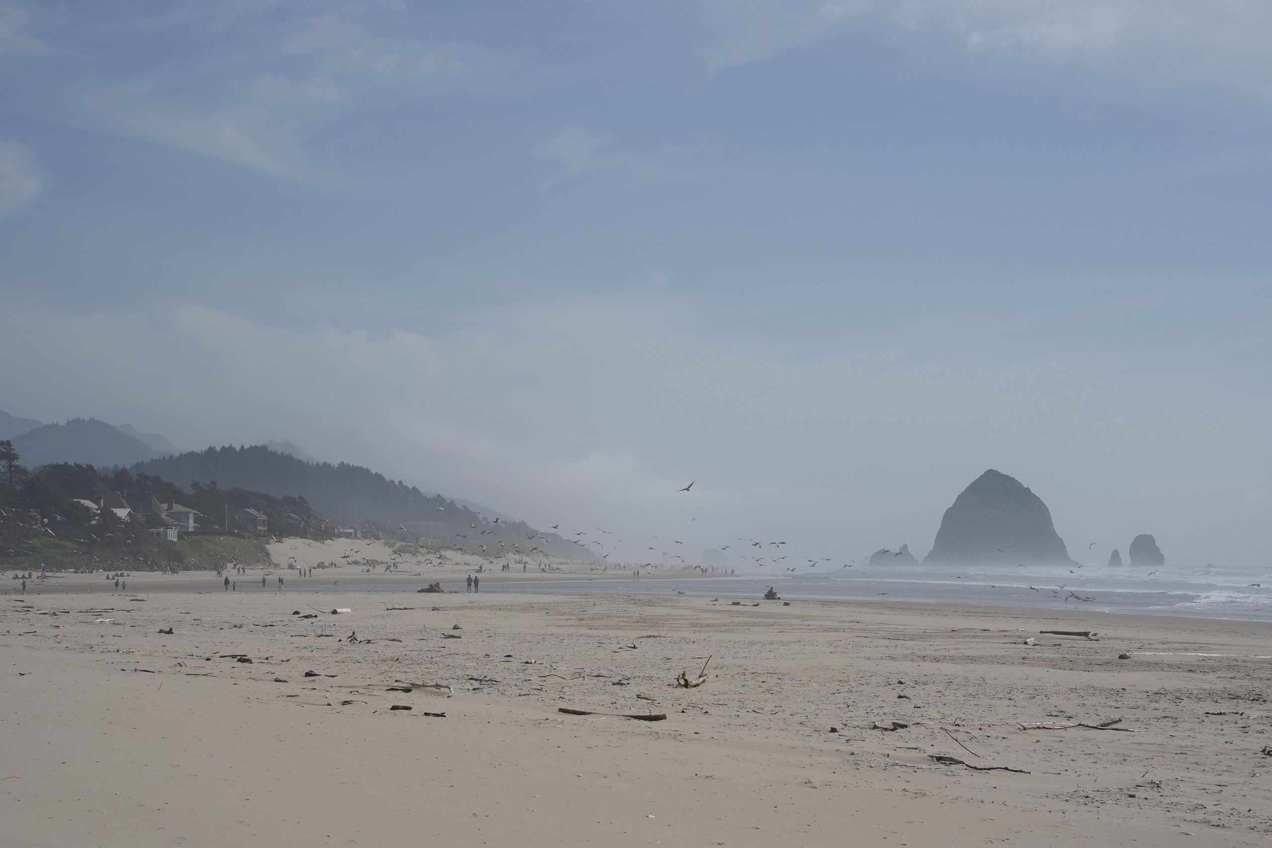 Ocean’s atmosphere. Elopement & wedding photographer in Seattle, WA