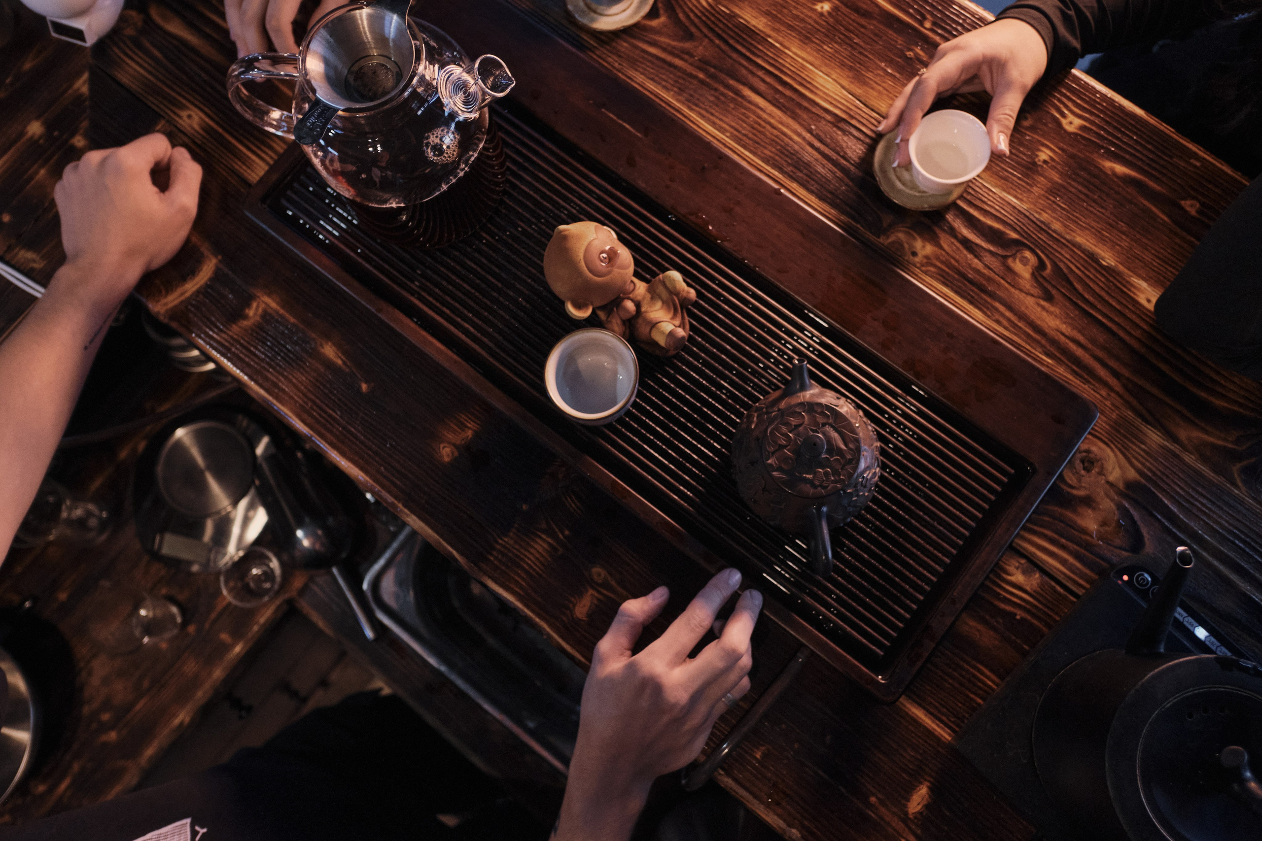 Белая панда — магазин чайных ощущений. Артём Кузнецов, фотограф, Новосибирск