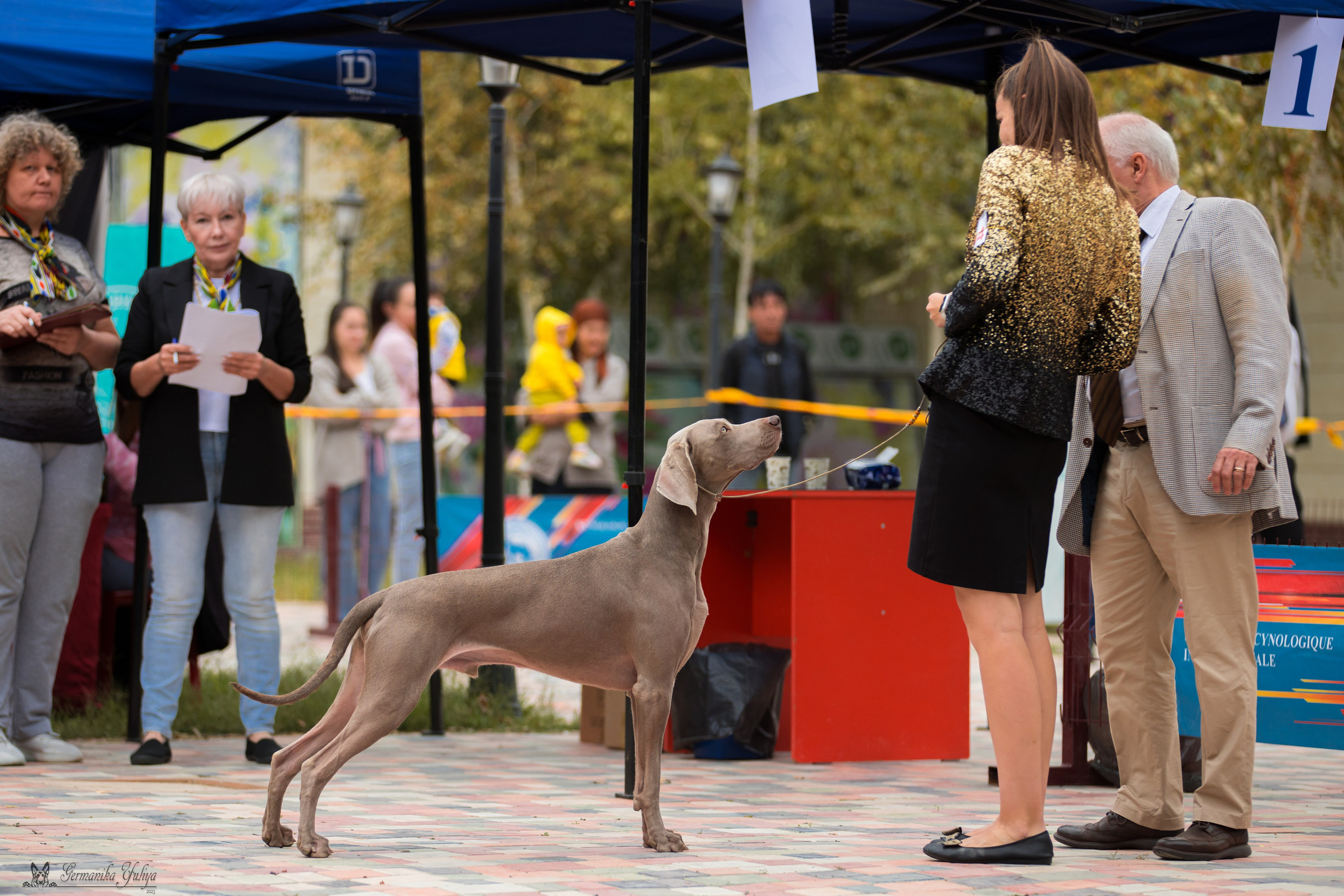 Ташкент 6-8.10.2023 + Алматы 14-15.10.2023. Фотограф-анималист Юлия Германика