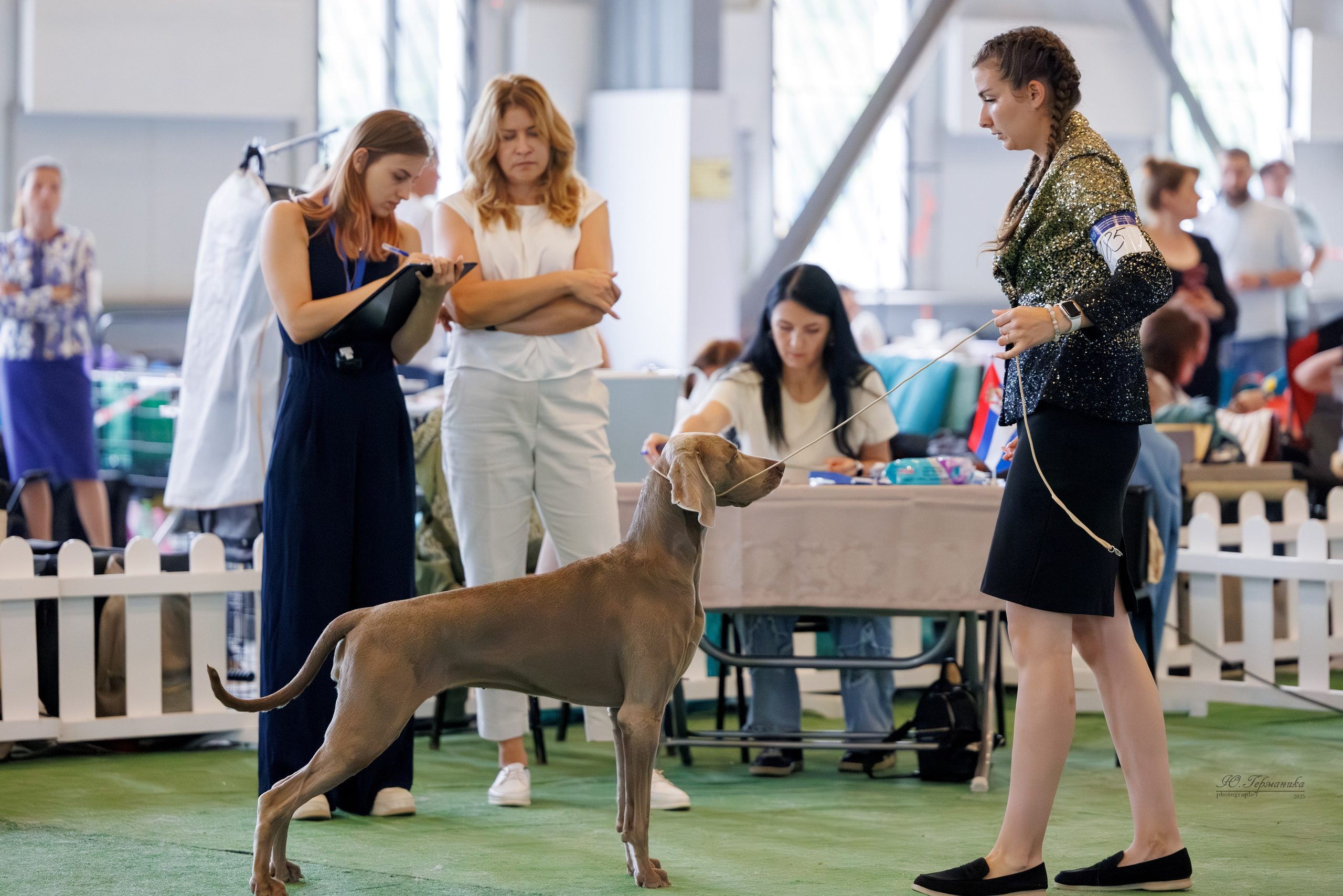 Батуми 3хCACIB 27-29.06.2025. Фотограф-анималист Юлия Германика