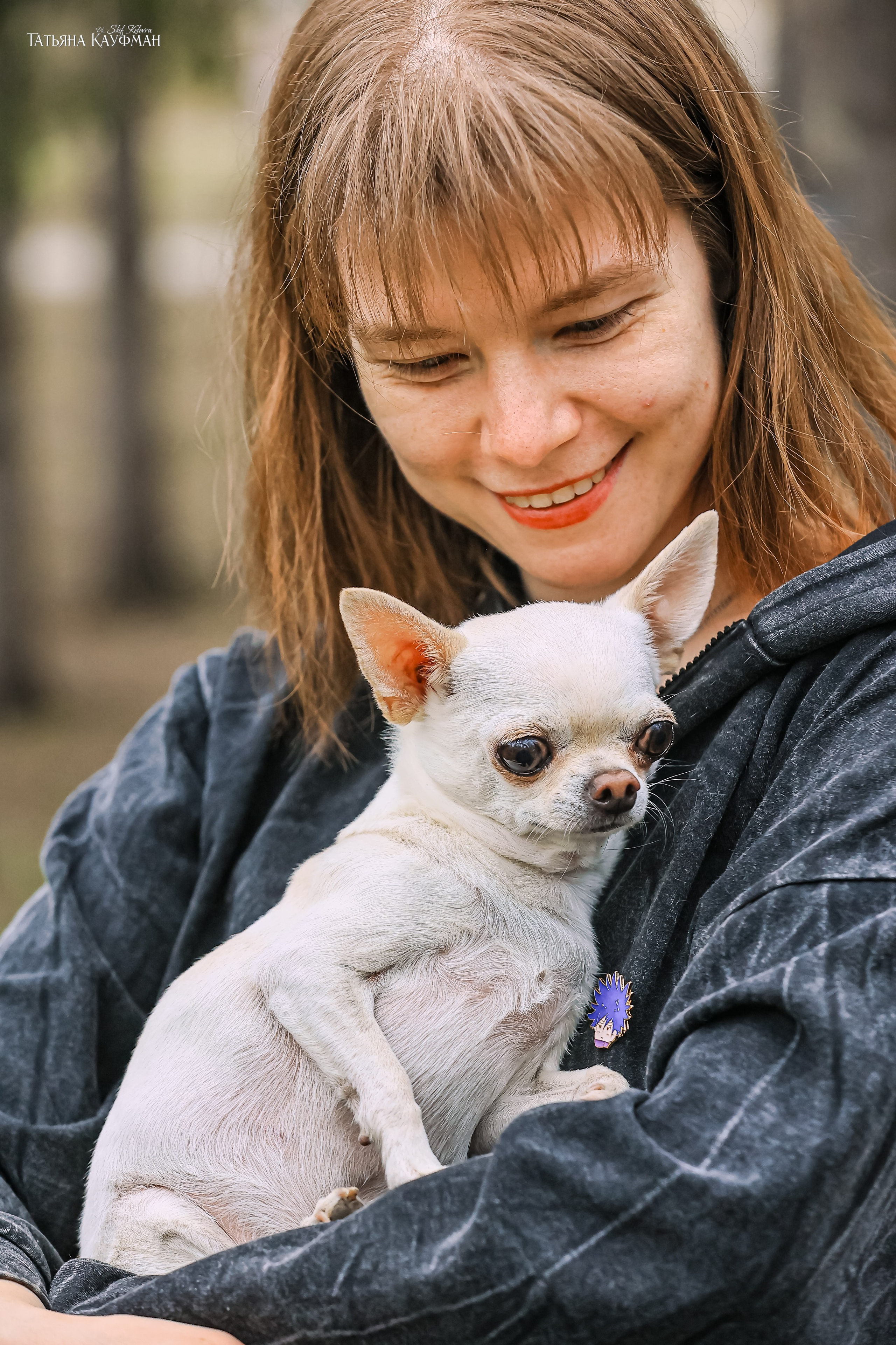 Салюки, фотография салюки, красивая собака, фотограф анималист, фотокурс Анималистика, научиться фотографировать собак, фотограф Новосибирск