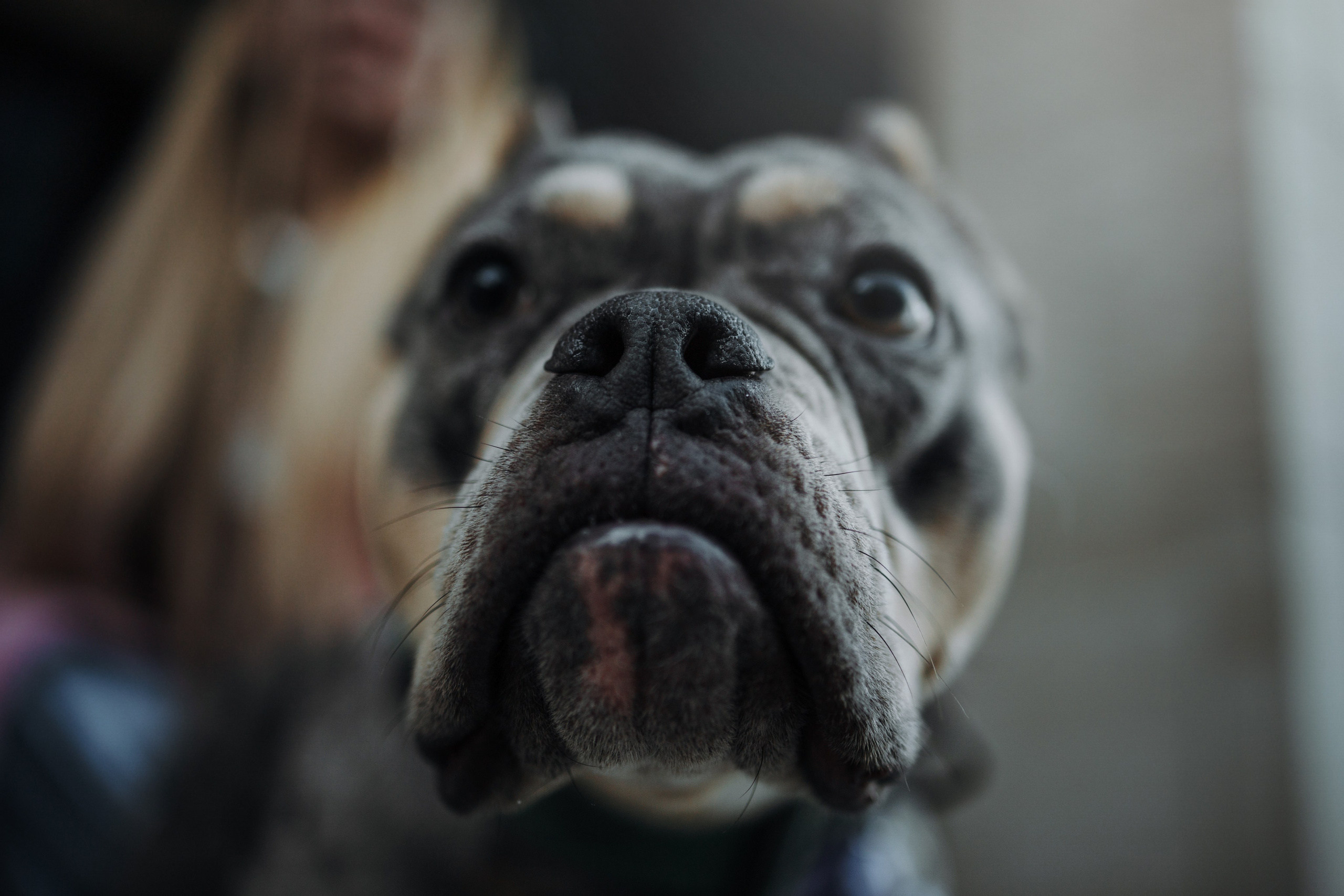 Лера и ее булочки. Фотограф — Анималист | Санкт-Петербург