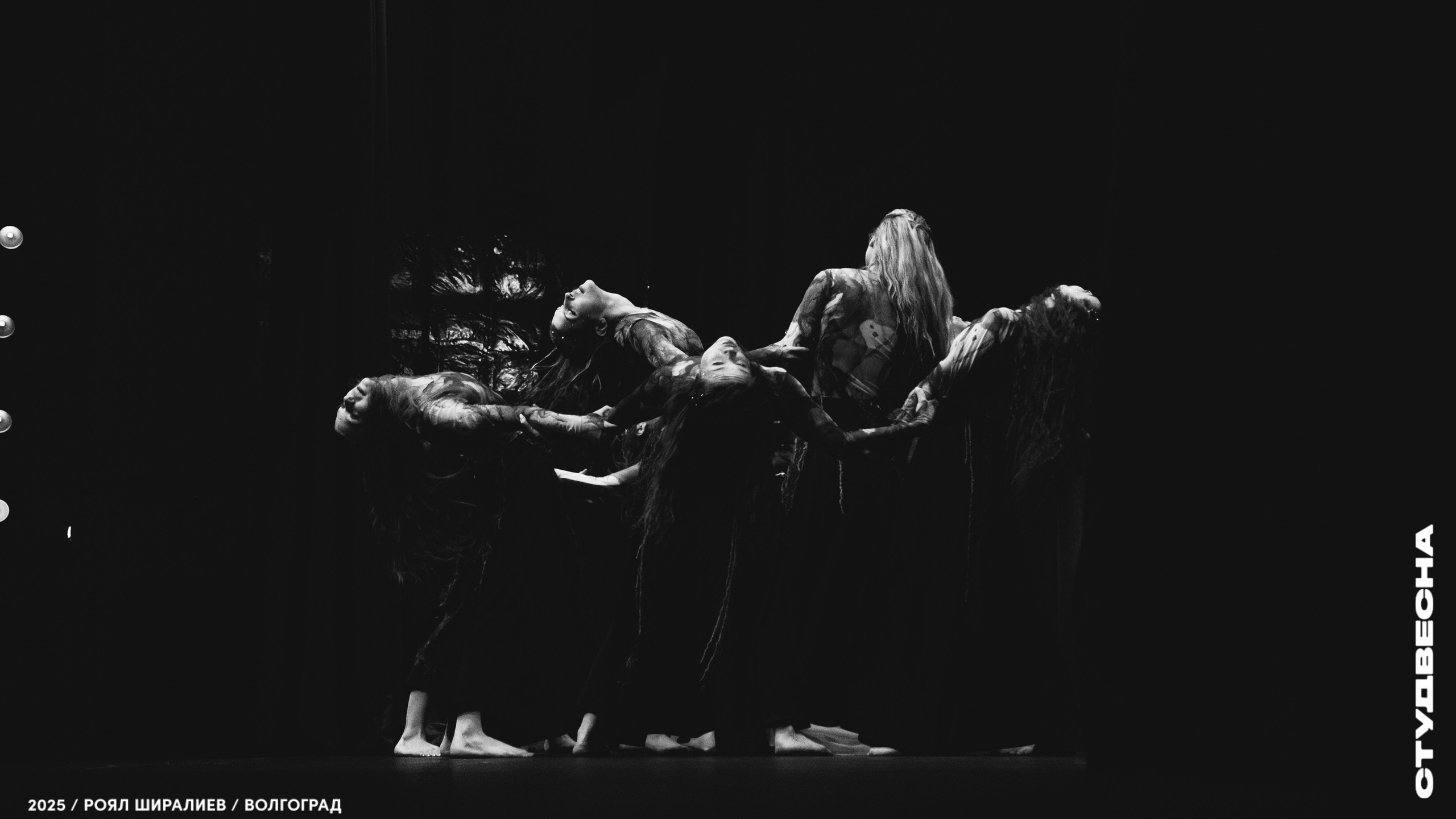 Студенческая весна | Регион | 2025. Royal Shirali