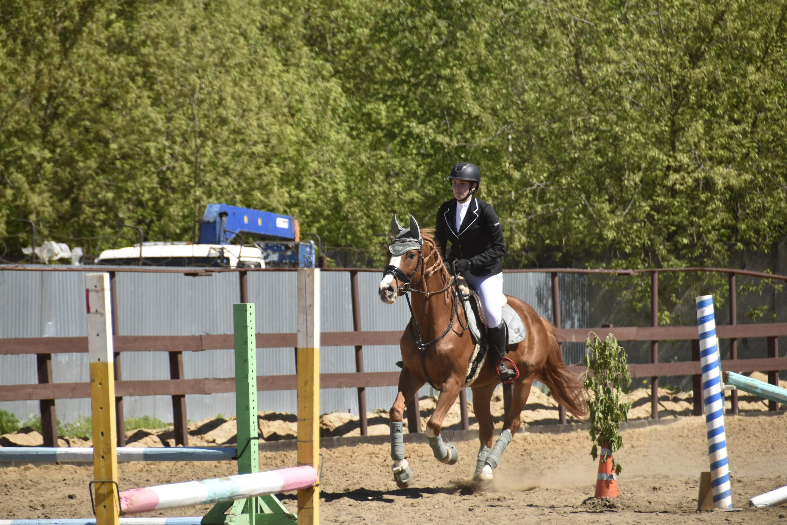 Соревнования по конкуру. КСК «Галактика». Конный фотограф Москва