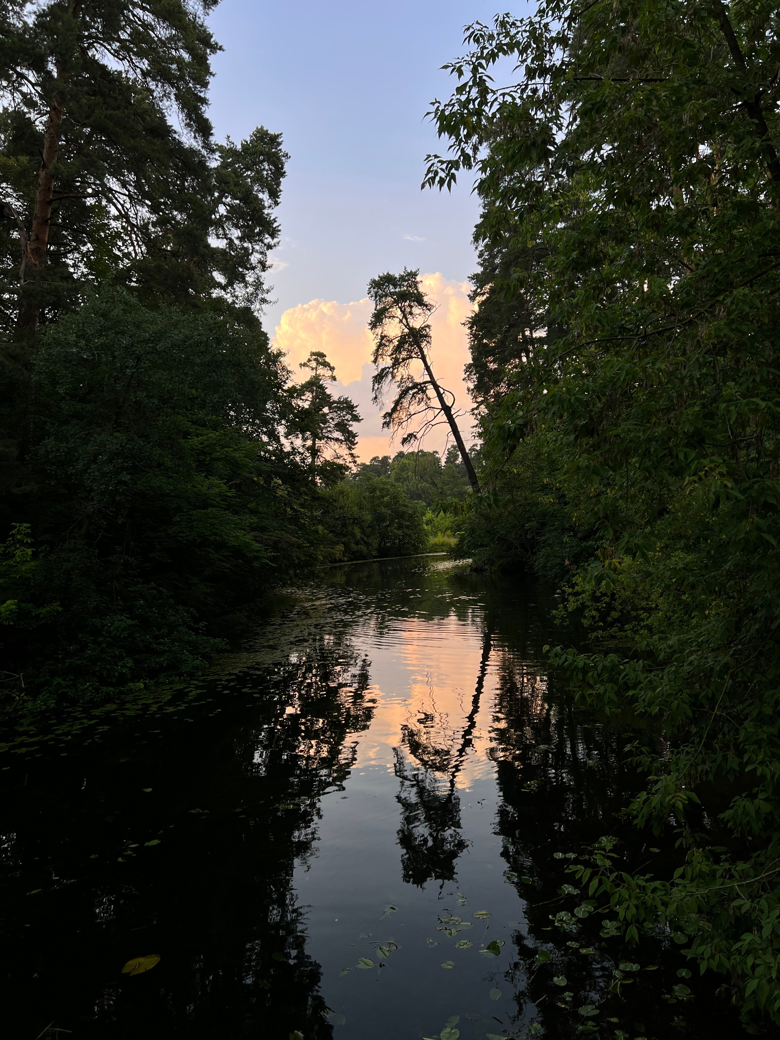 Fragments. Artem Khusainov