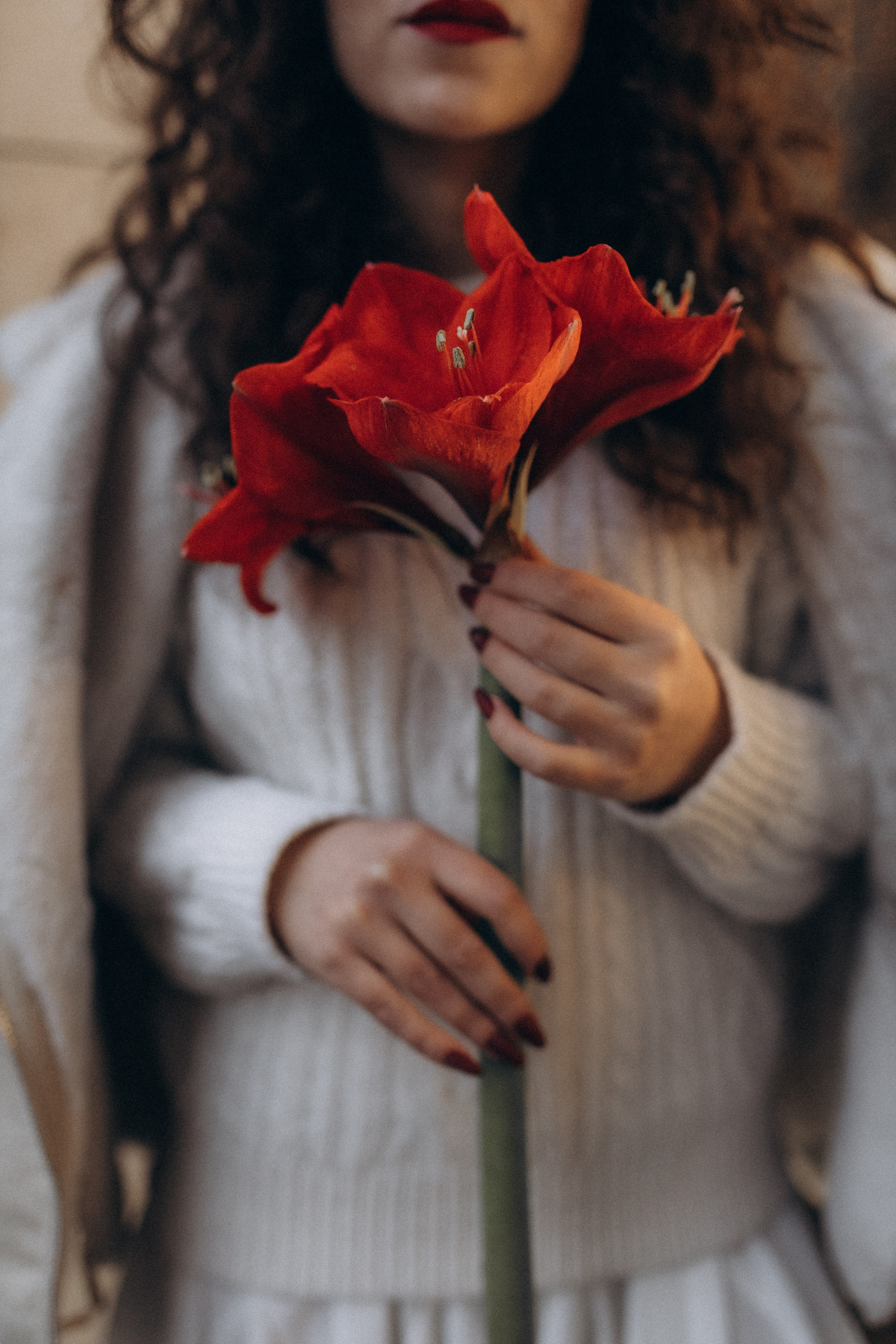 Катя. Фотограф в Петербурге Ольга Стрельченко