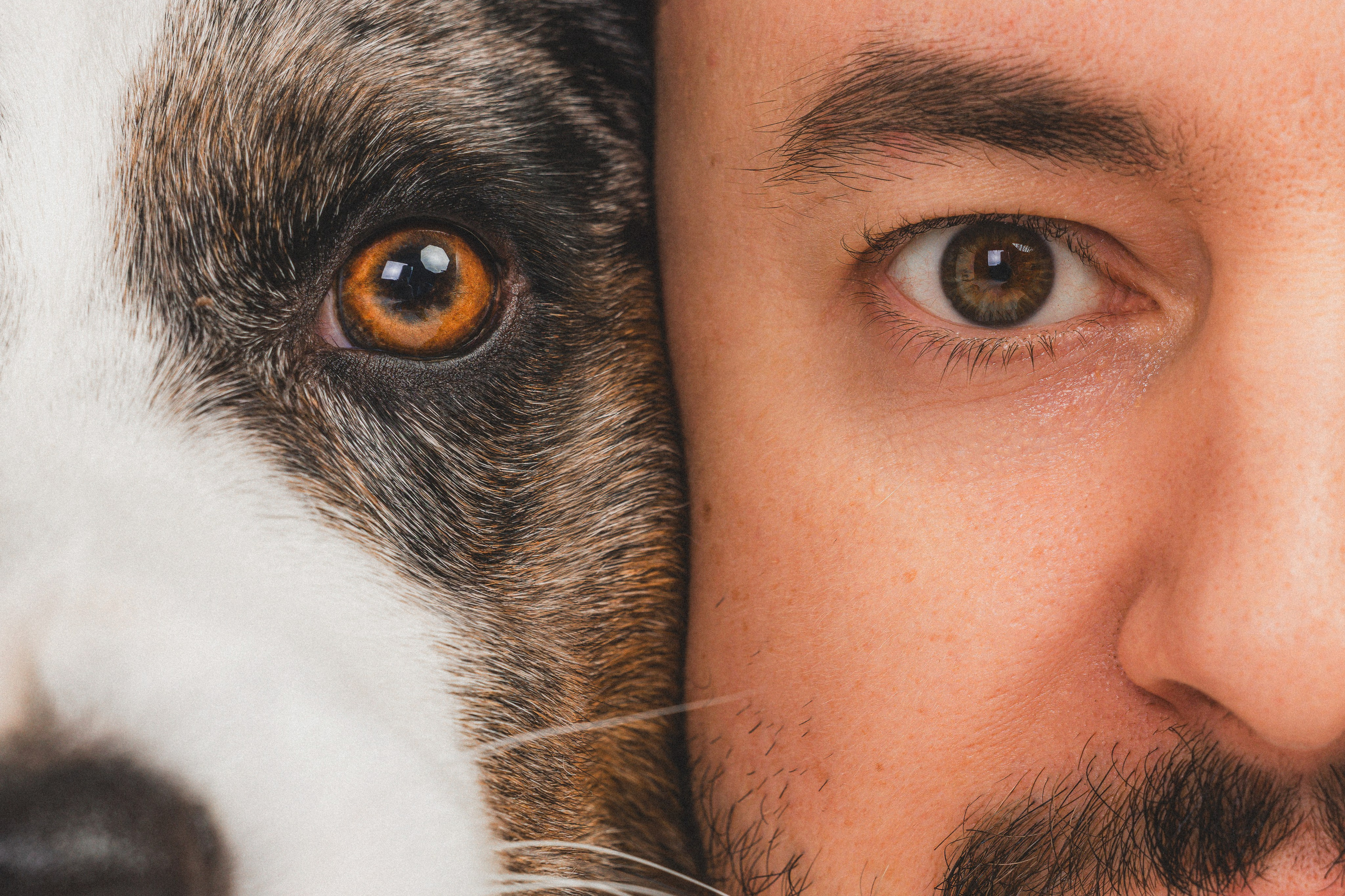 Анатолий и Рагнар